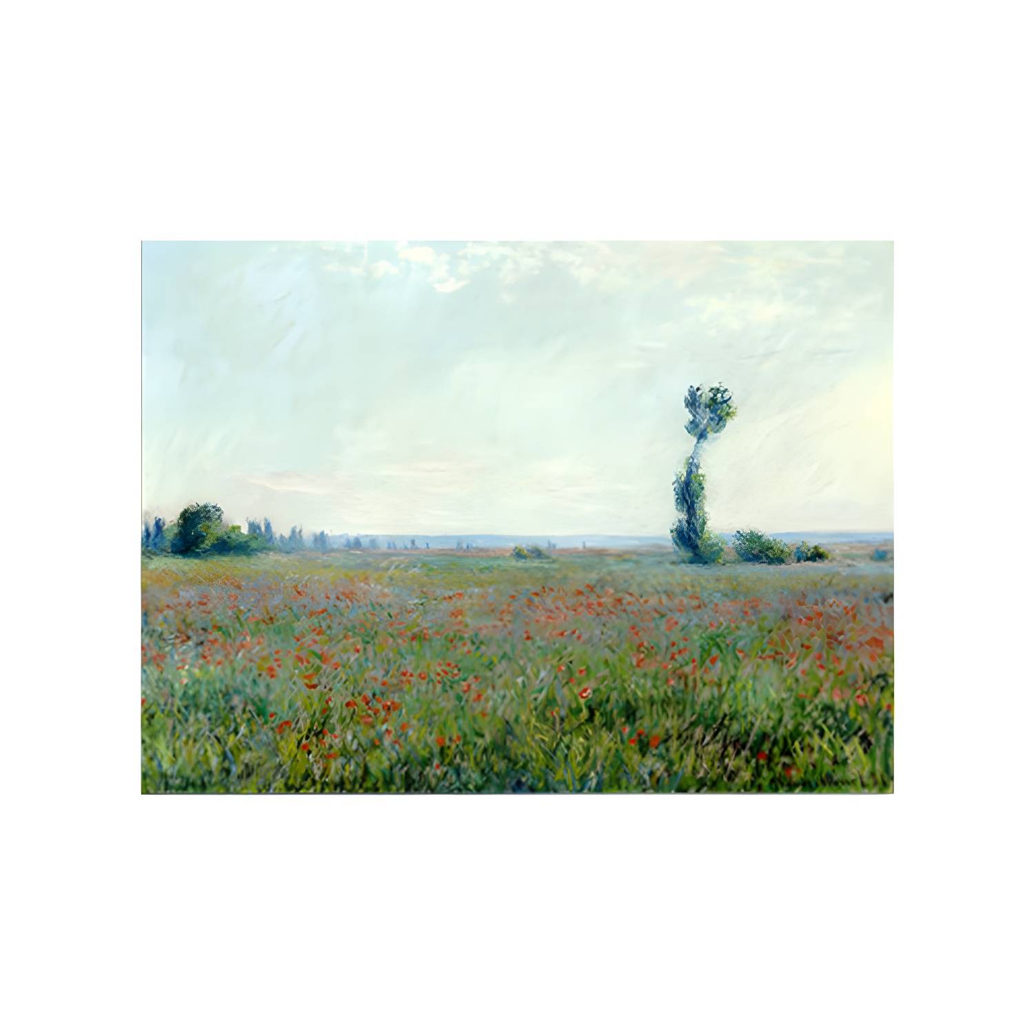 Imported image 8f12674ca192 1862543.jpg
