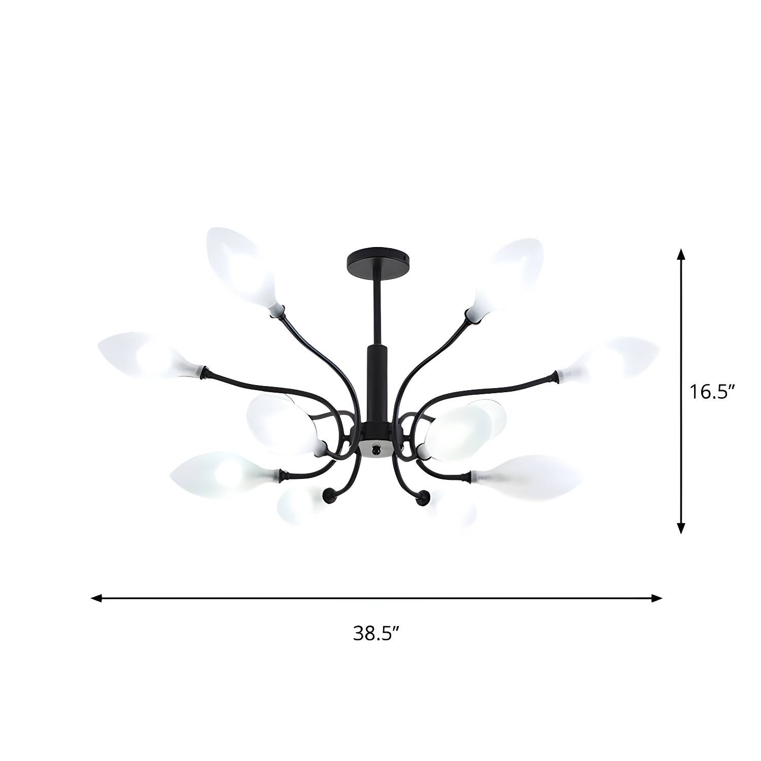Imported image ba69b68c6f91 1886715.jpg