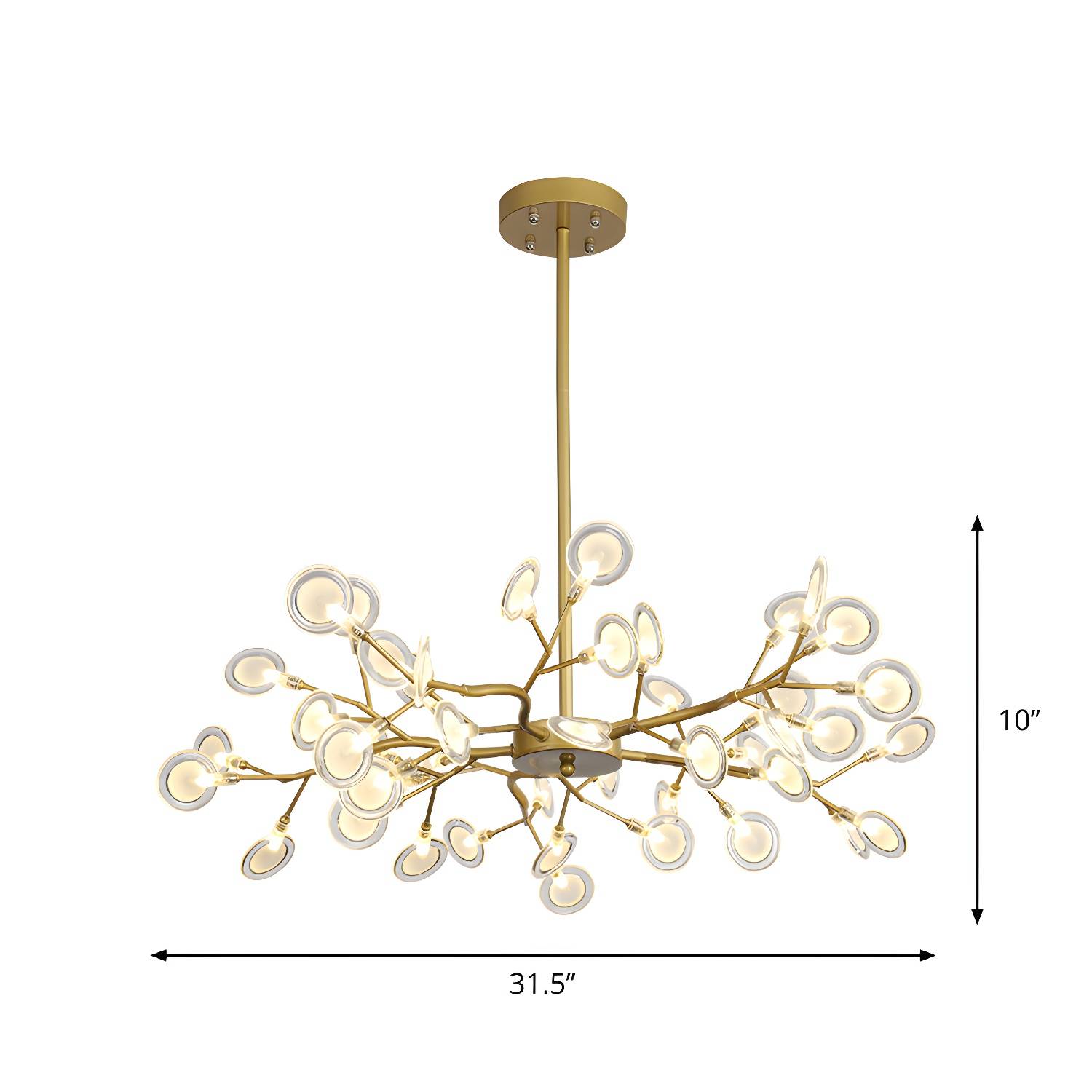 Imported image 5eb42232c4e0 1886895.jpg