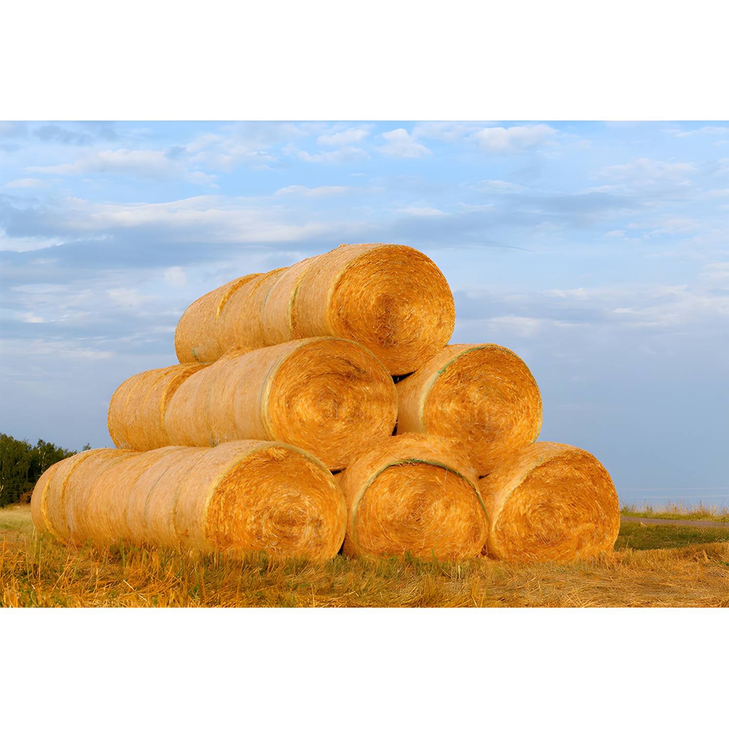 Imported image 33b71d52921e 1895691.jpg