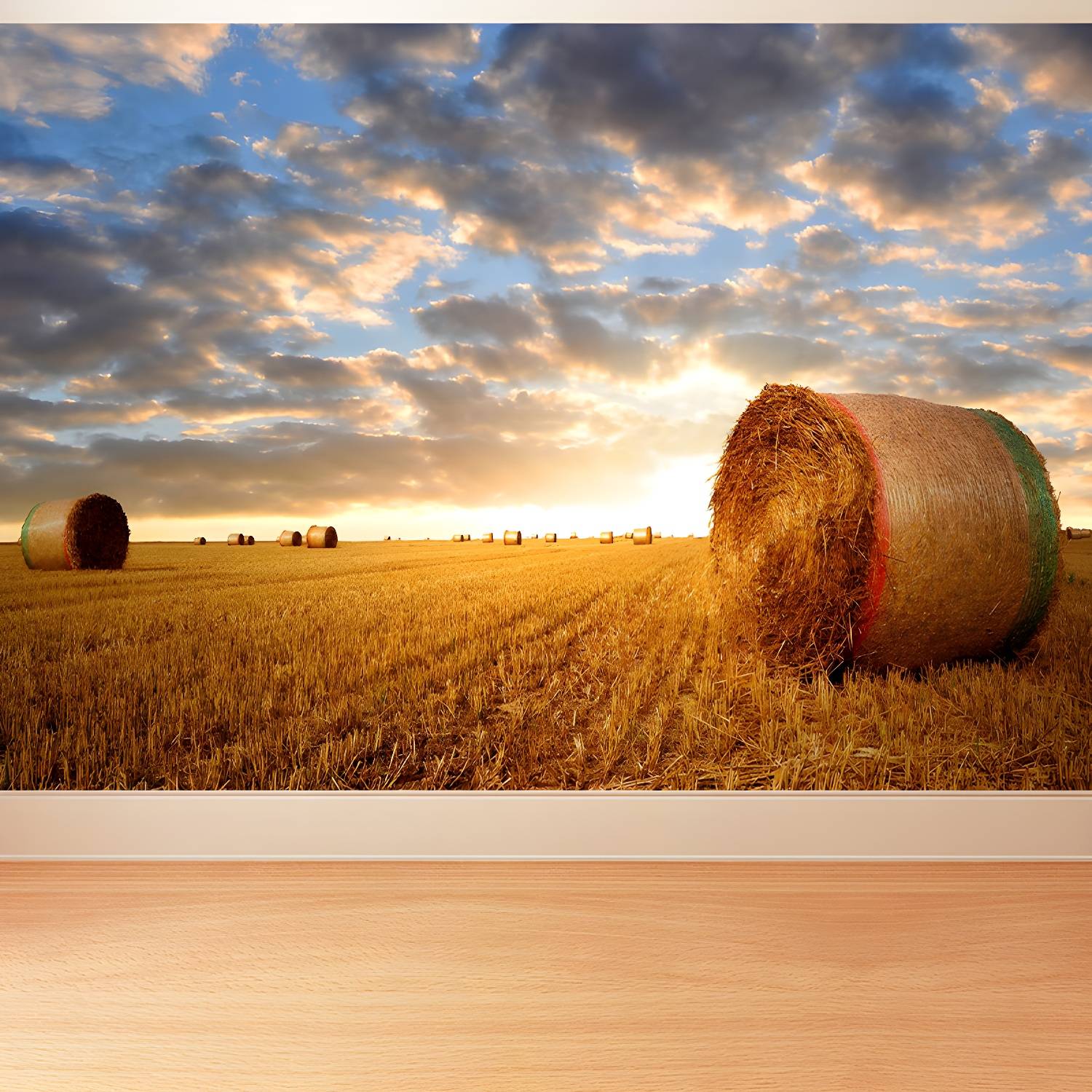 Imported image d6bbbb9de804 1895698.jpg