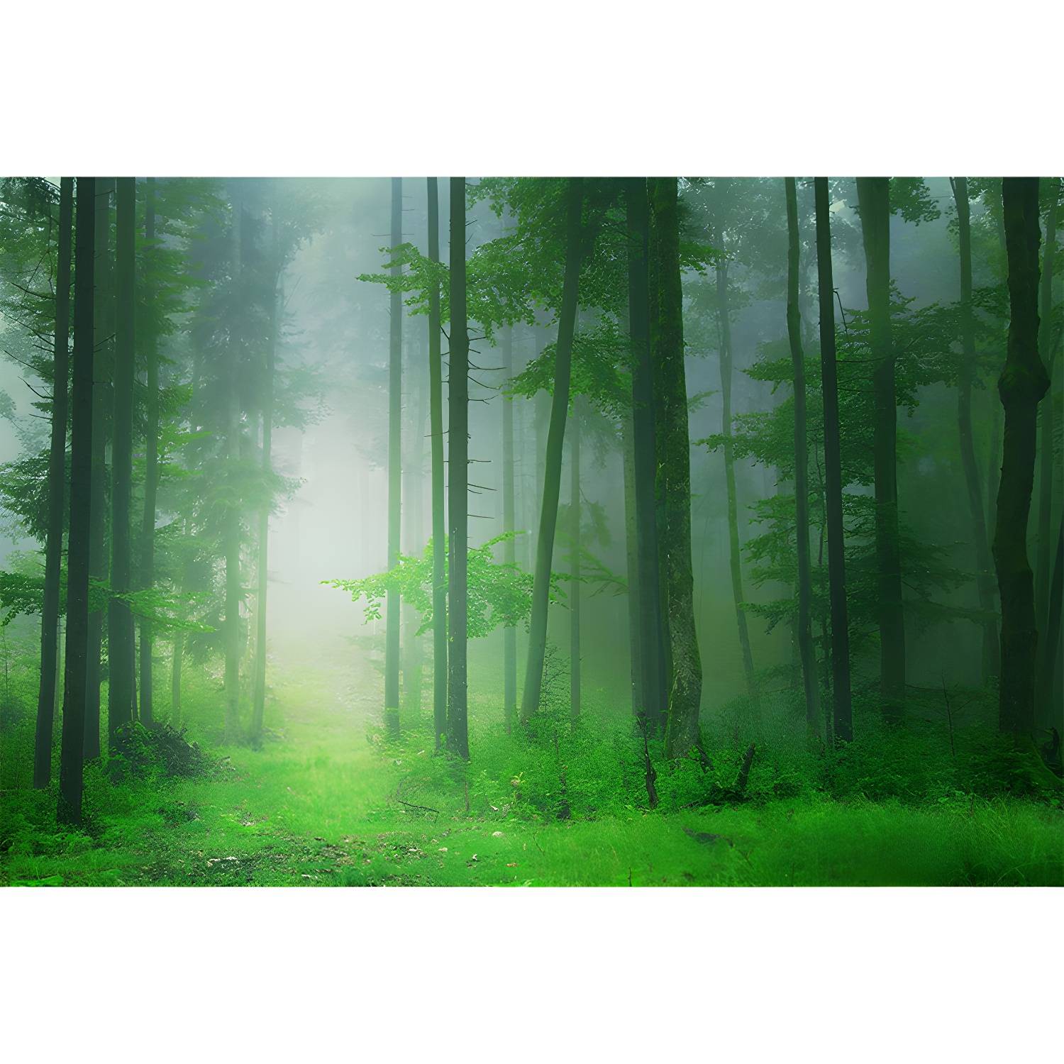 Imported image d0b42cc1d497 1897186.jpg