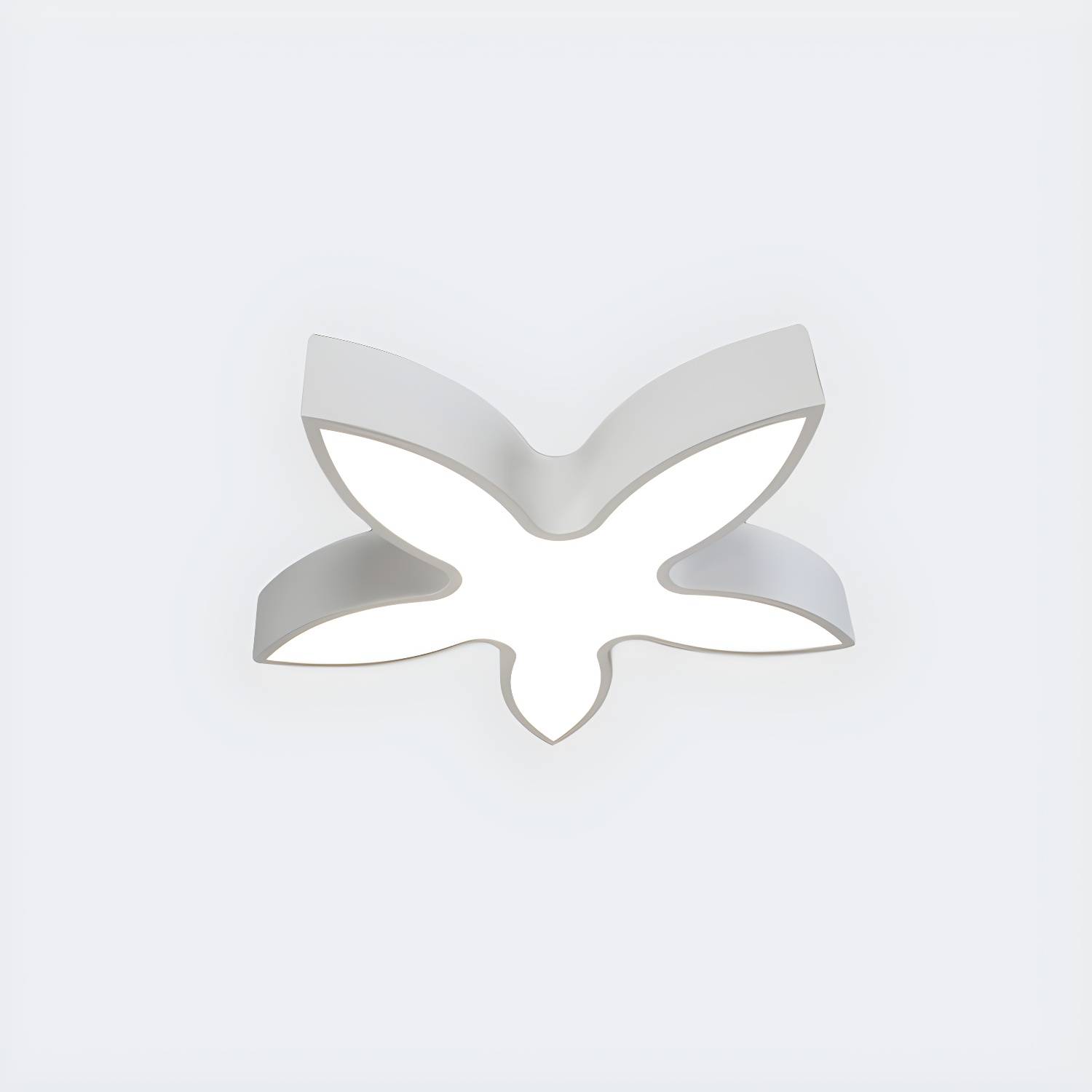 Imported image dcc5762b1198 1907991.jpg