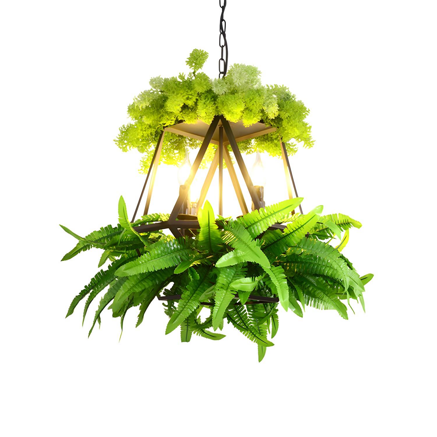 Imported image 40f36608ce09 1909559.jpg