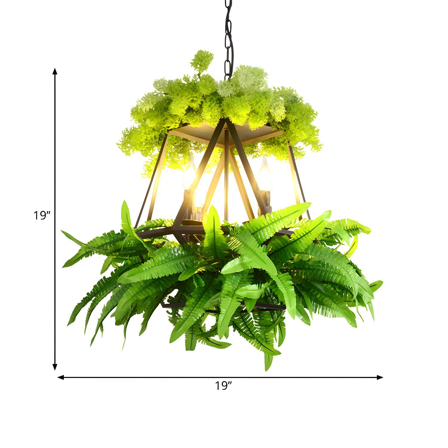 Imported image 3d0dbd75f2ab 1909560.jpg