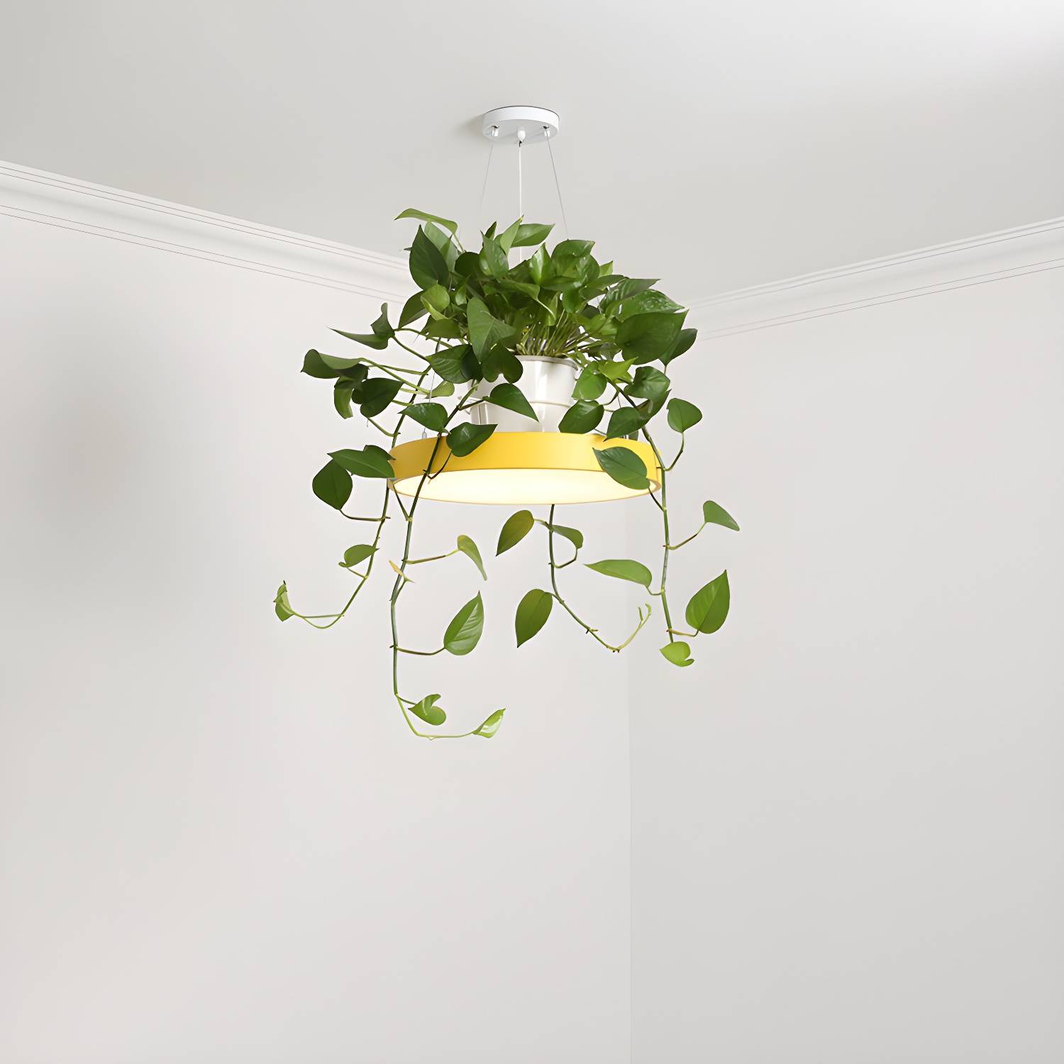 Imported image 3165a4d3f07f 1909618.jpg