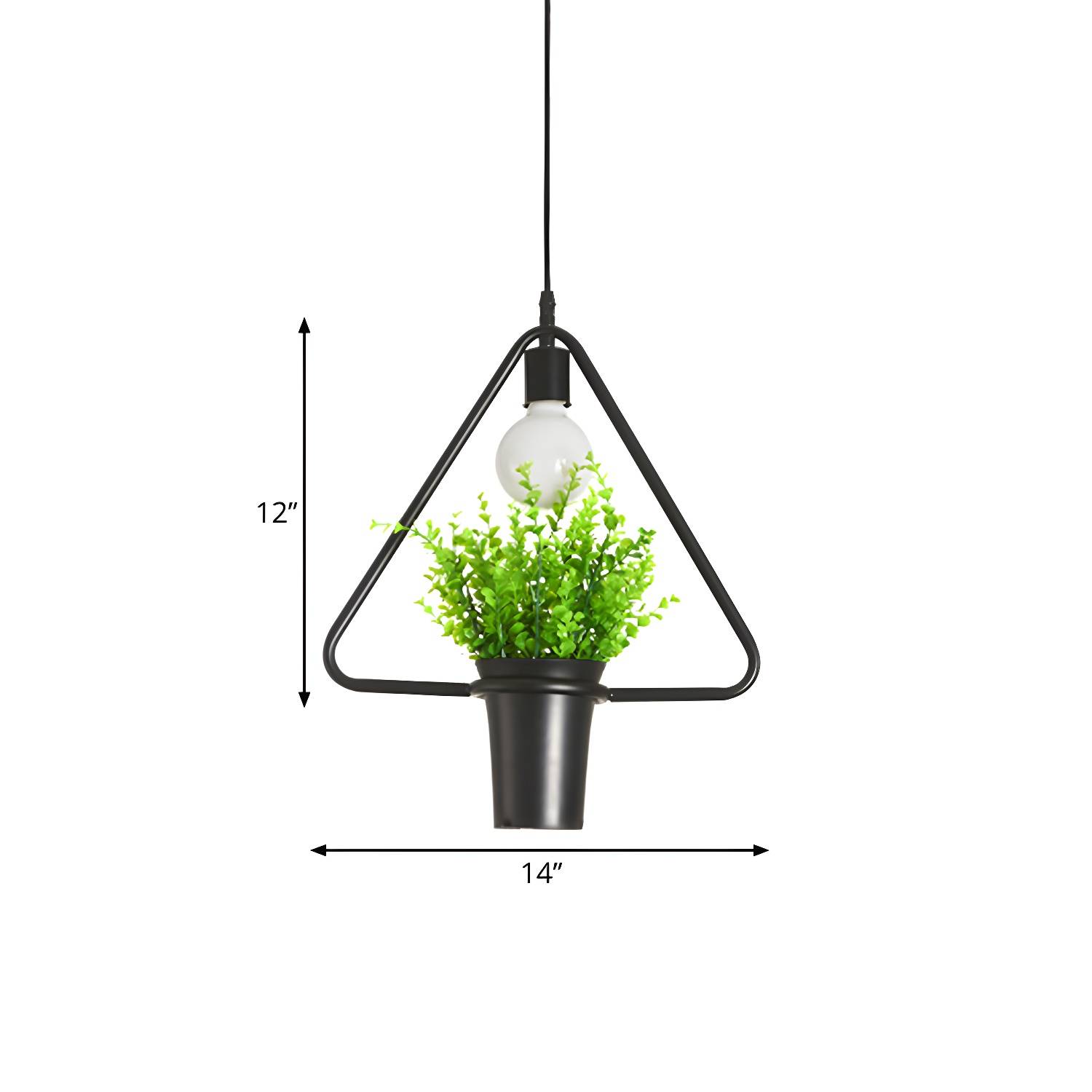 Imported image d316a35f766f 1909682.jpg