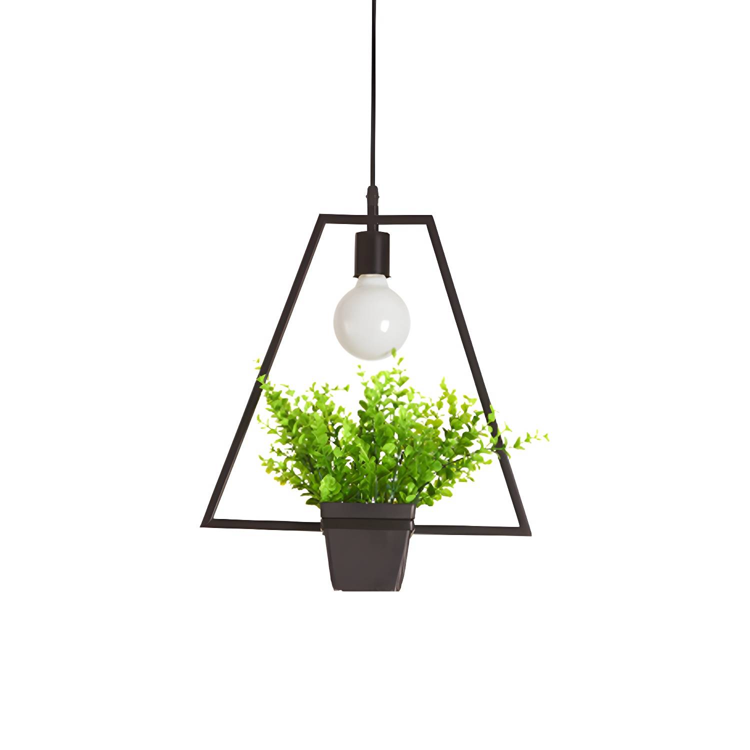 Imported image db1a11d704e2 1909683.jpg
