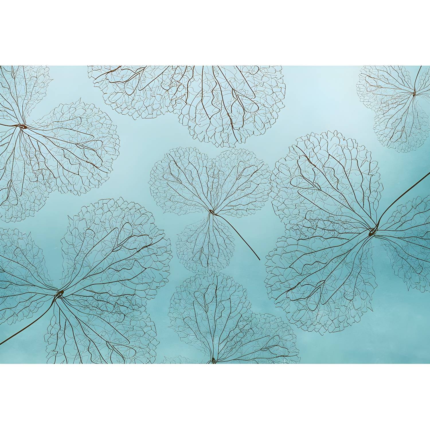 Imported image 1f896580ab61 1921609.jpg