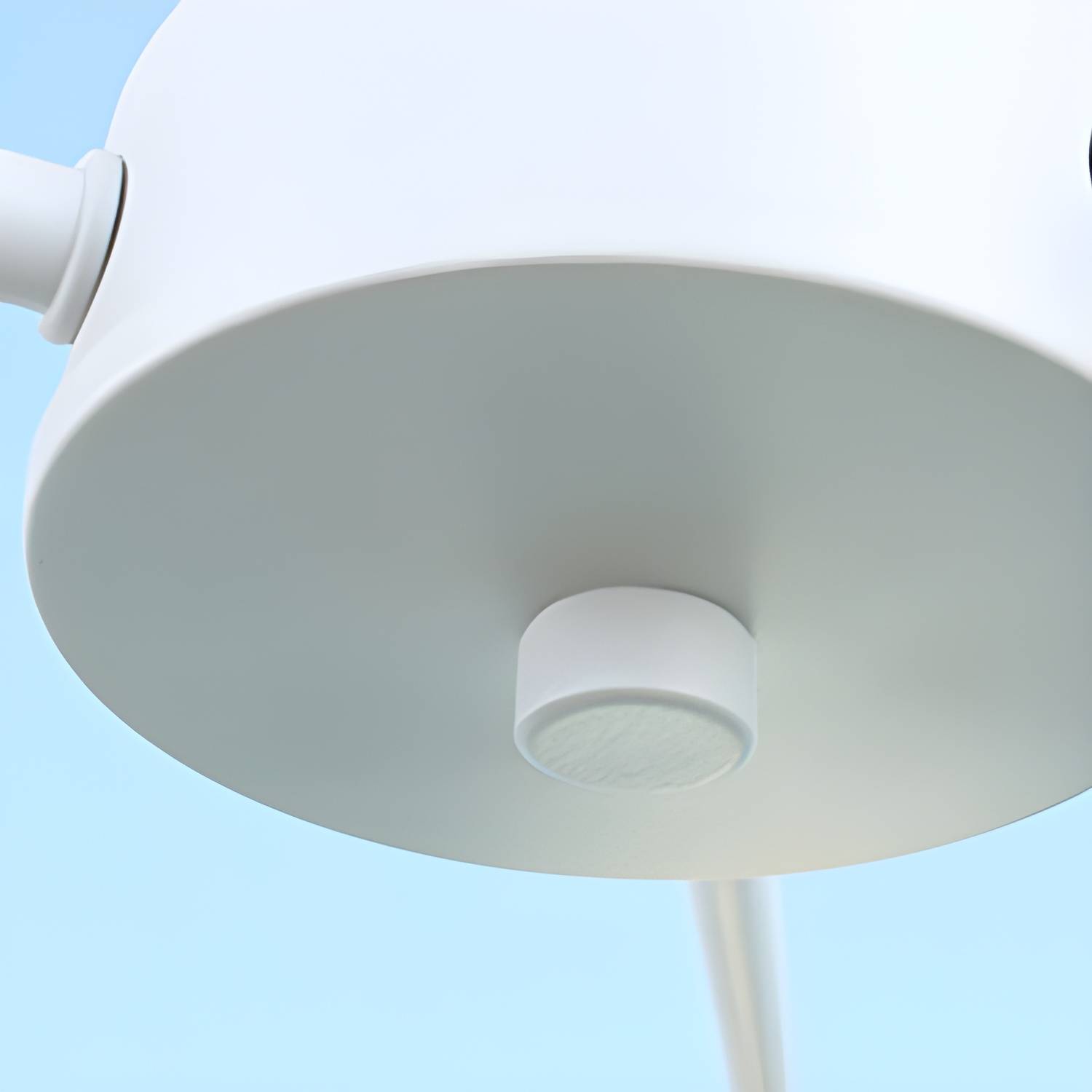 Imported image ea3d34a28899 19410.jpg