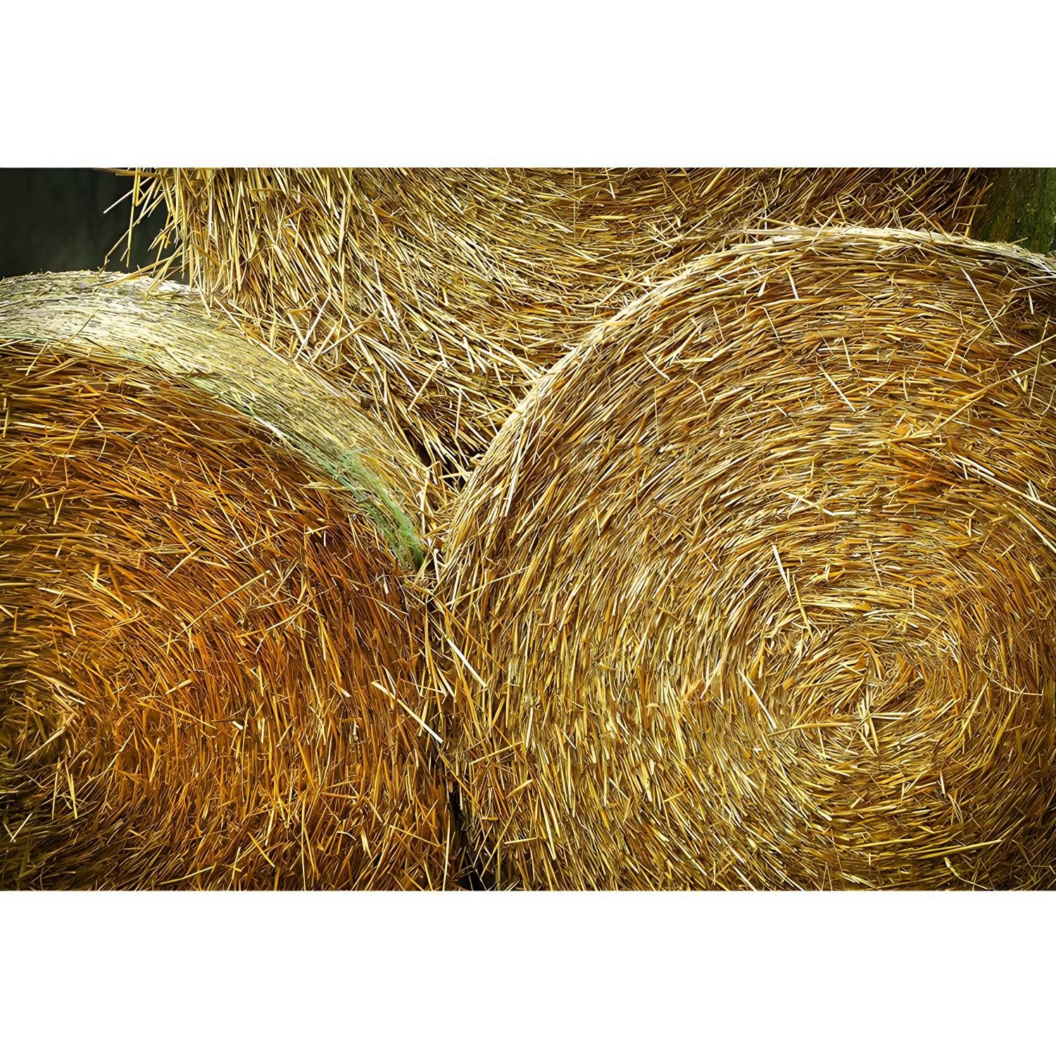 Imported image 9aff0713924a 1957509.jpg