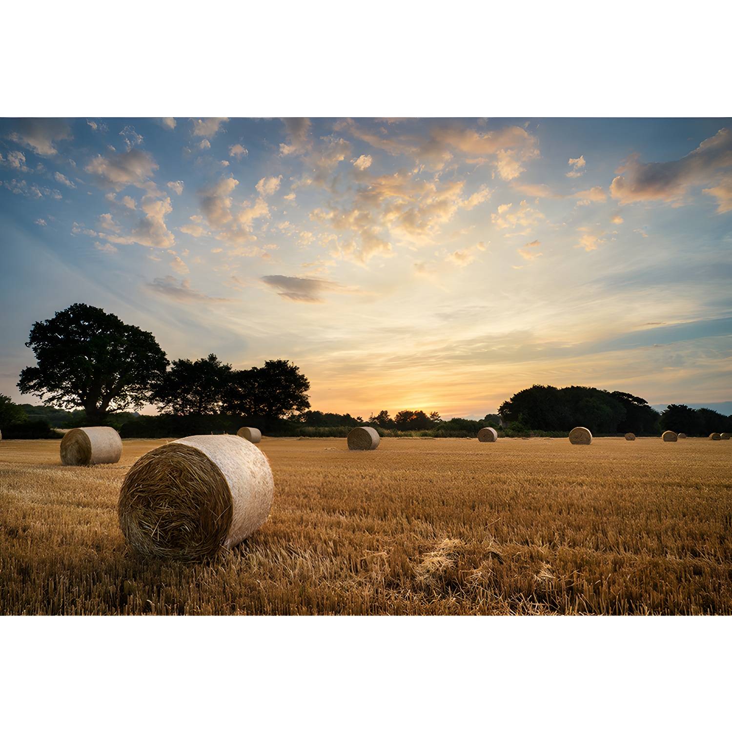 Imported image d77e9aa8d8a8 1957514.jpg