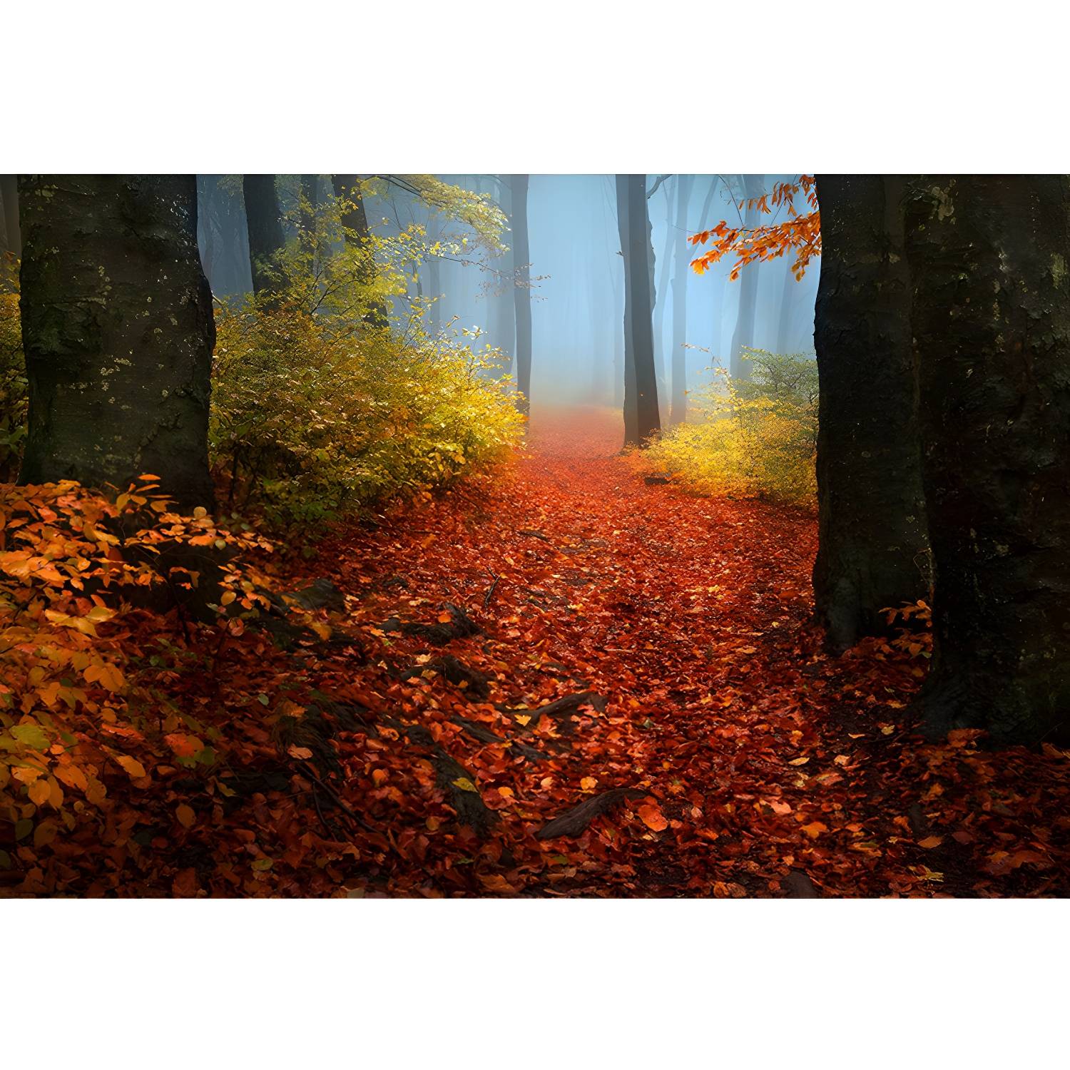 Imported image 653fdb9807b5 1957710.jpg