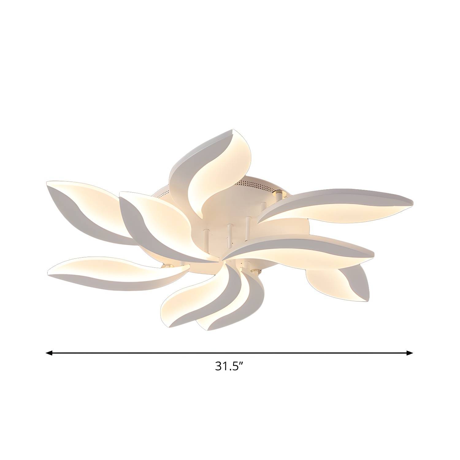 Imported image c56d52818271 1960574.jpg
