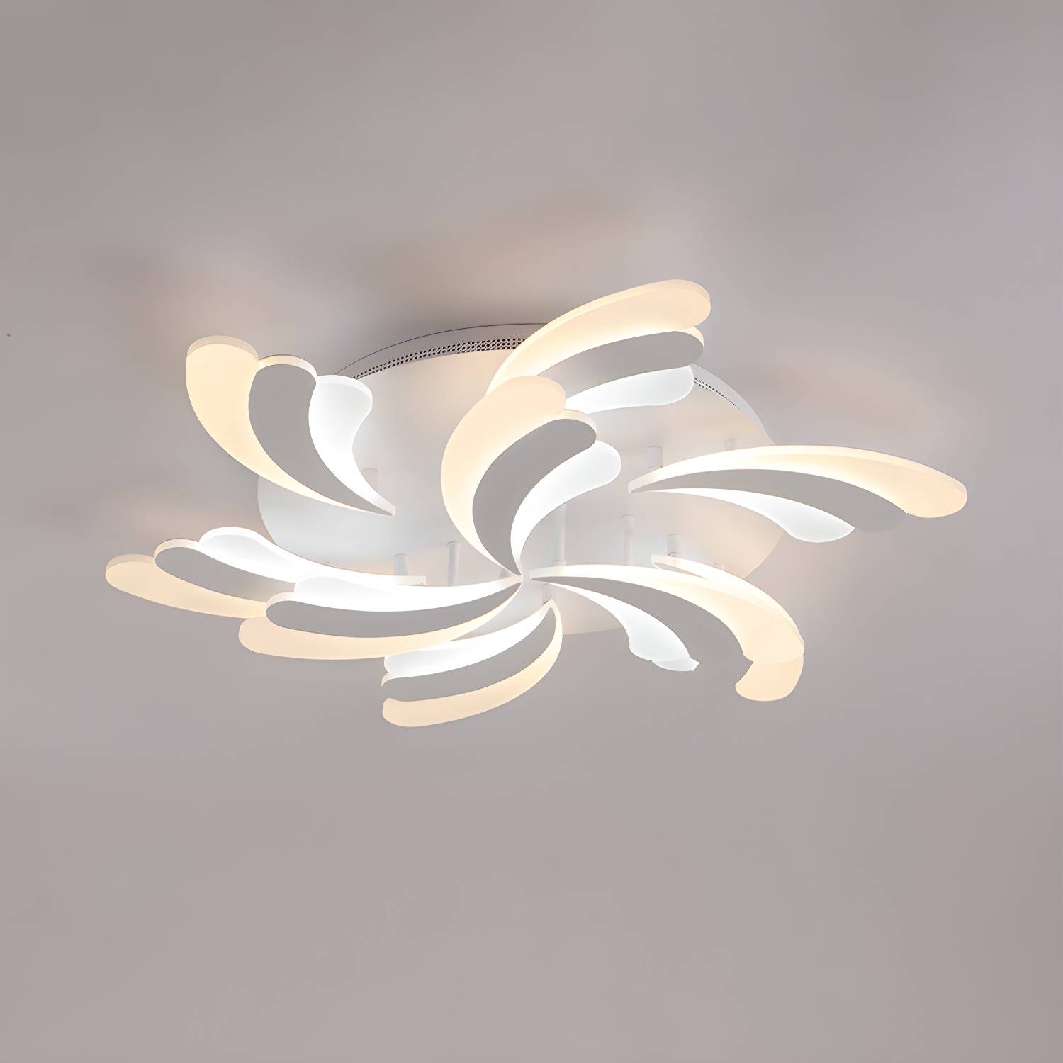 Imported image e4b05240d273 1960622.jpg