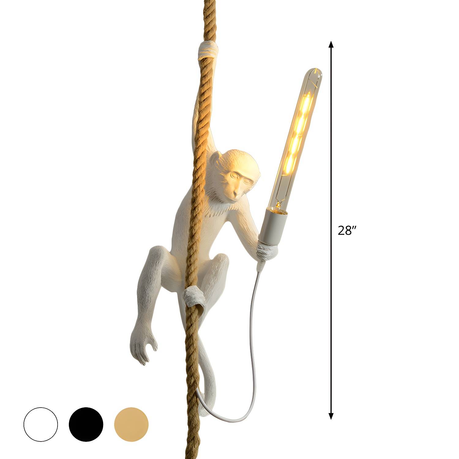 Imported image 65e775599c95 1970420.jpg