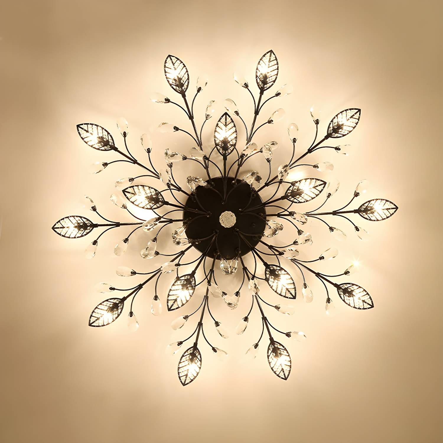 Imported image 90f9b92e160c 2018259.jpg