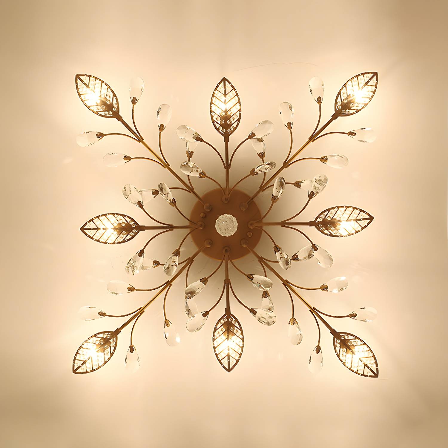Imported image 584ded48cc39 2018261.jpg