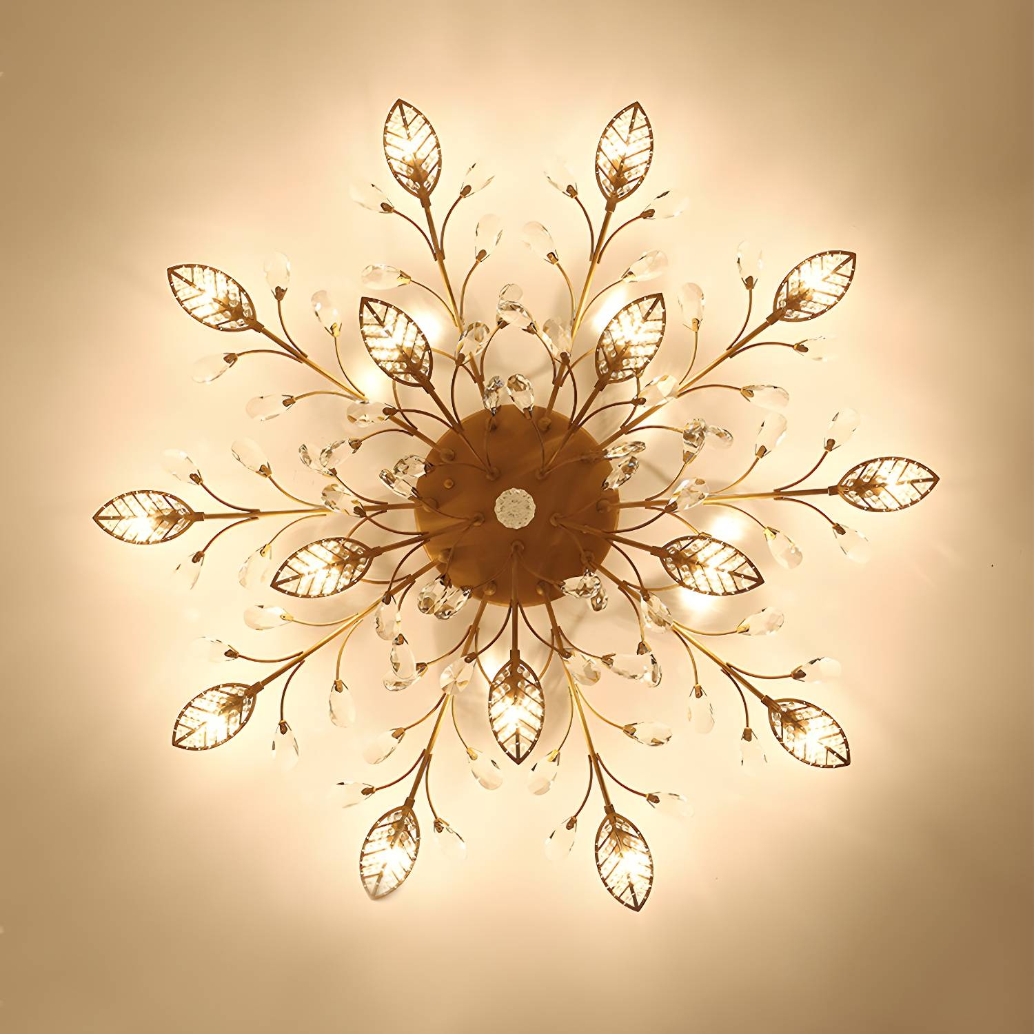 Imported image 6f9d7879bb4c 2018264.jpg