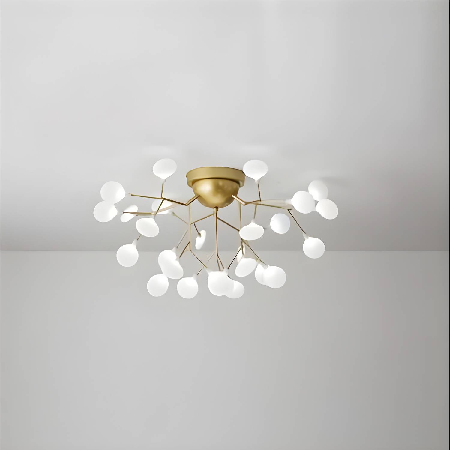 Imported image 26bbca5a03bd 2026140.jpg