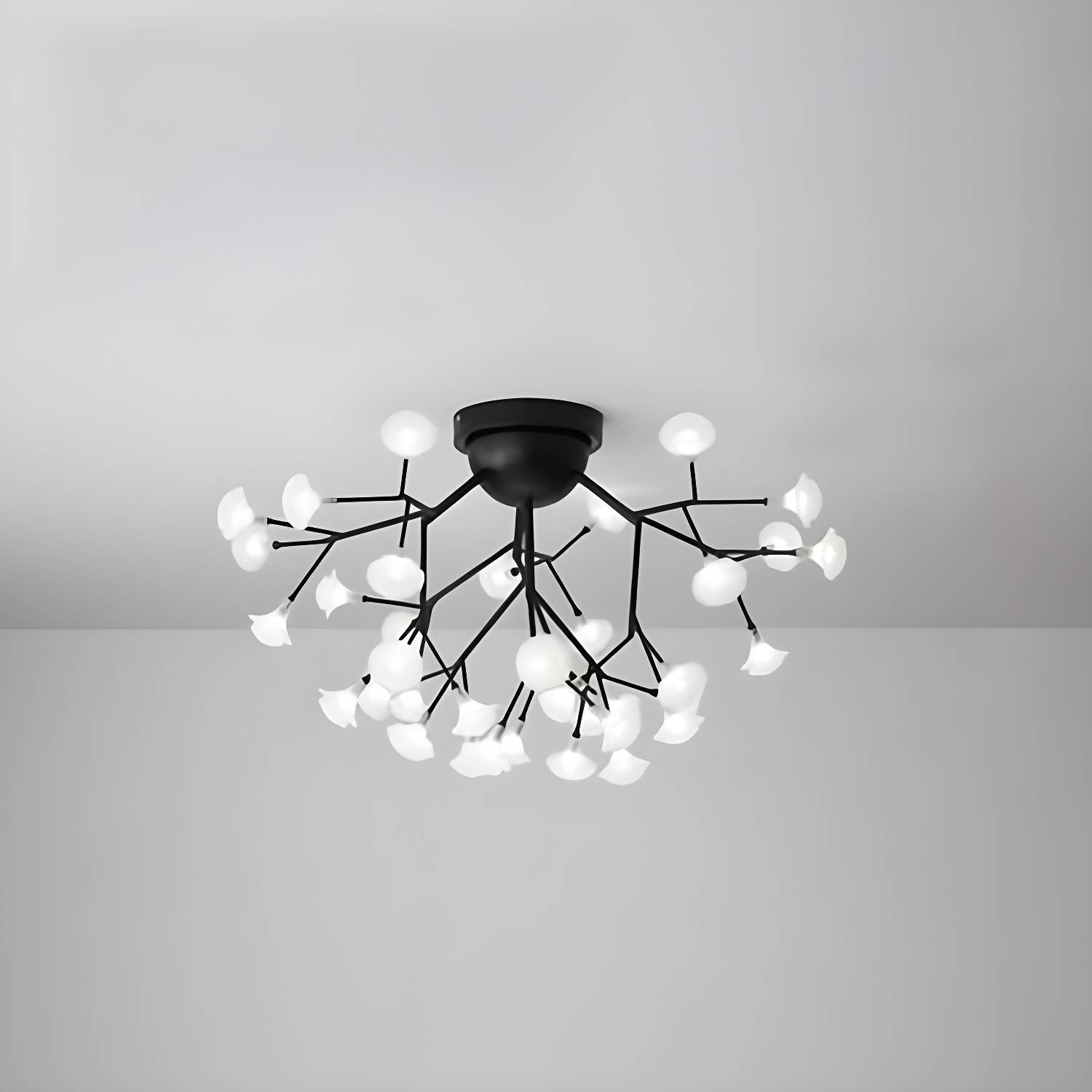 Imported image 9edc87989db2 2026147.jpg