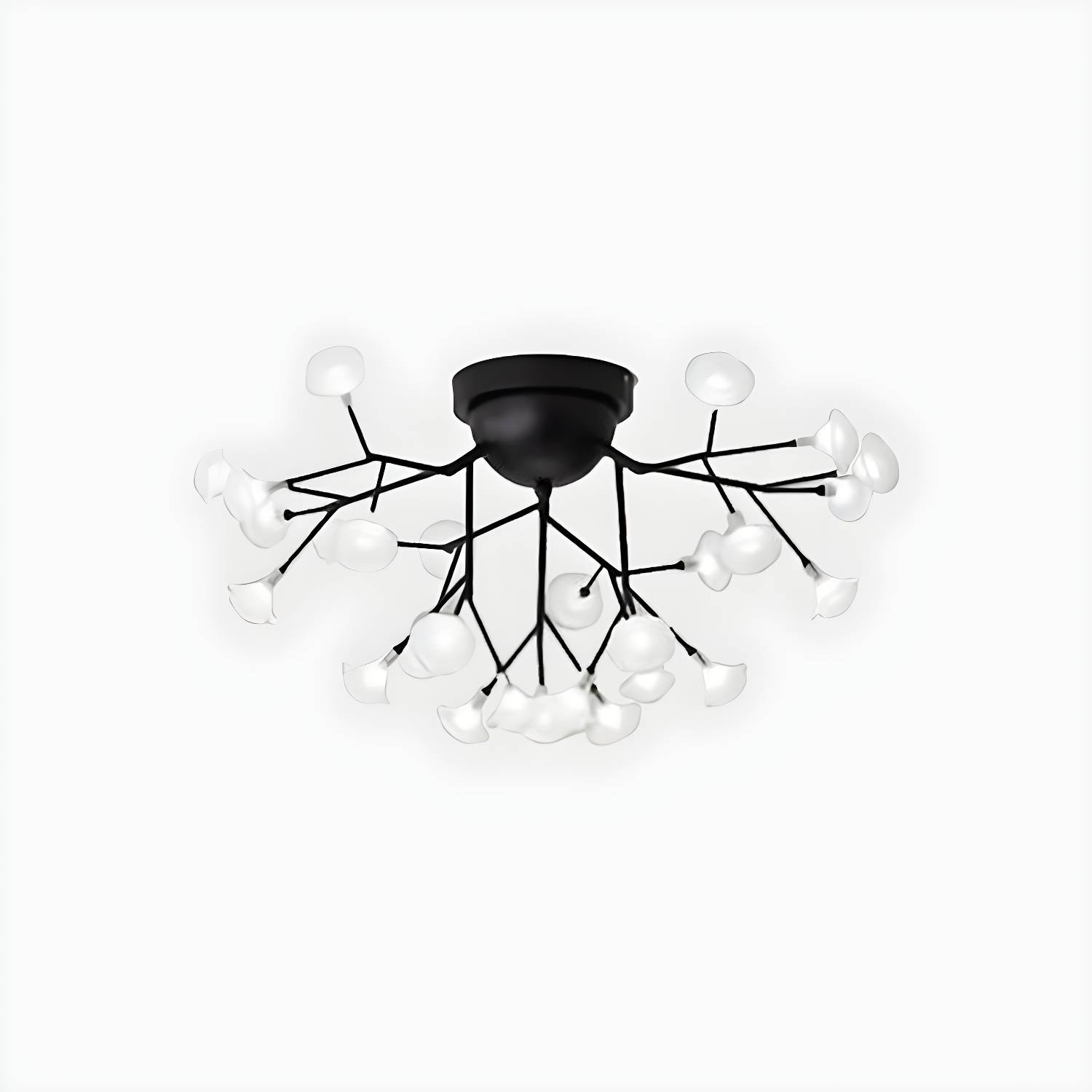 Imported image d205fe568421 2026152.jpg