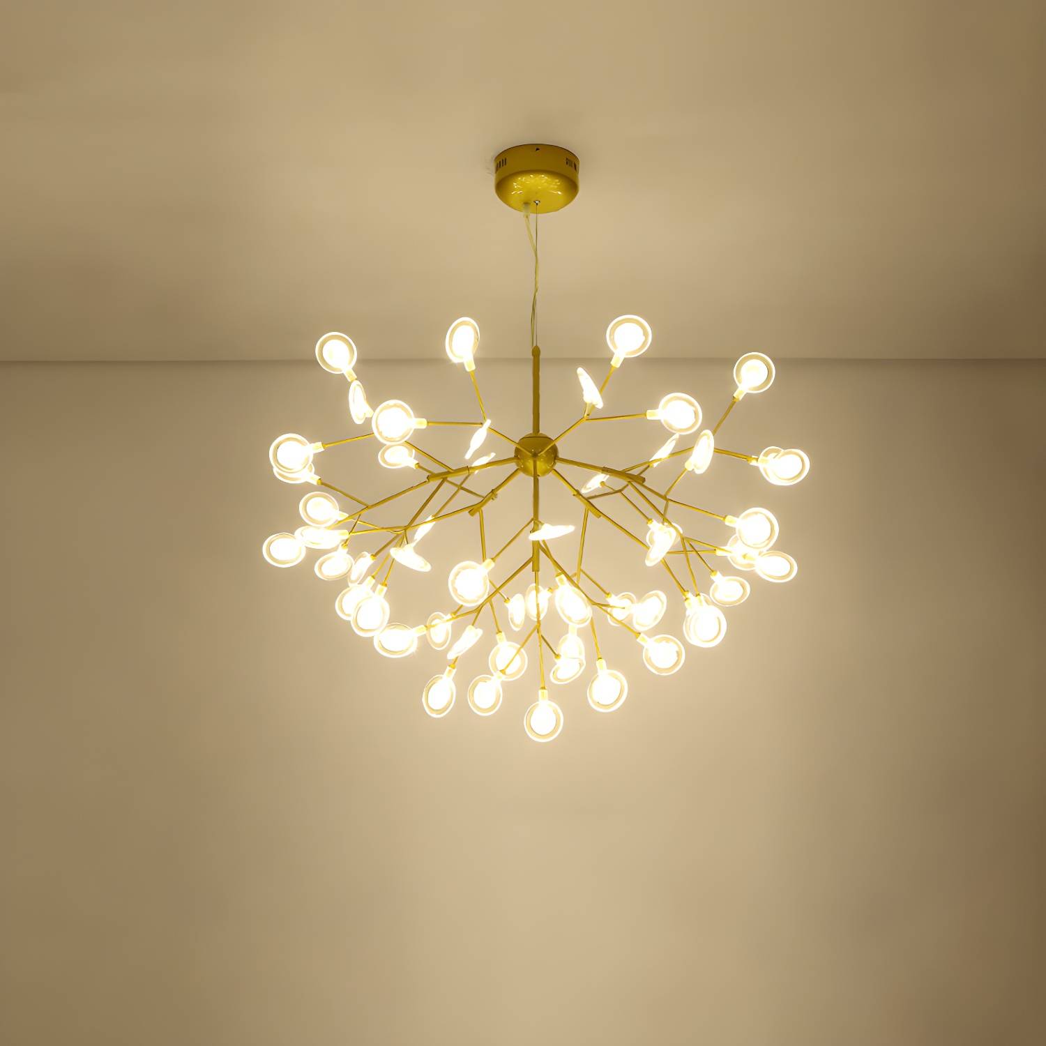 Imported image df5fa34feae6 2026360.jpg