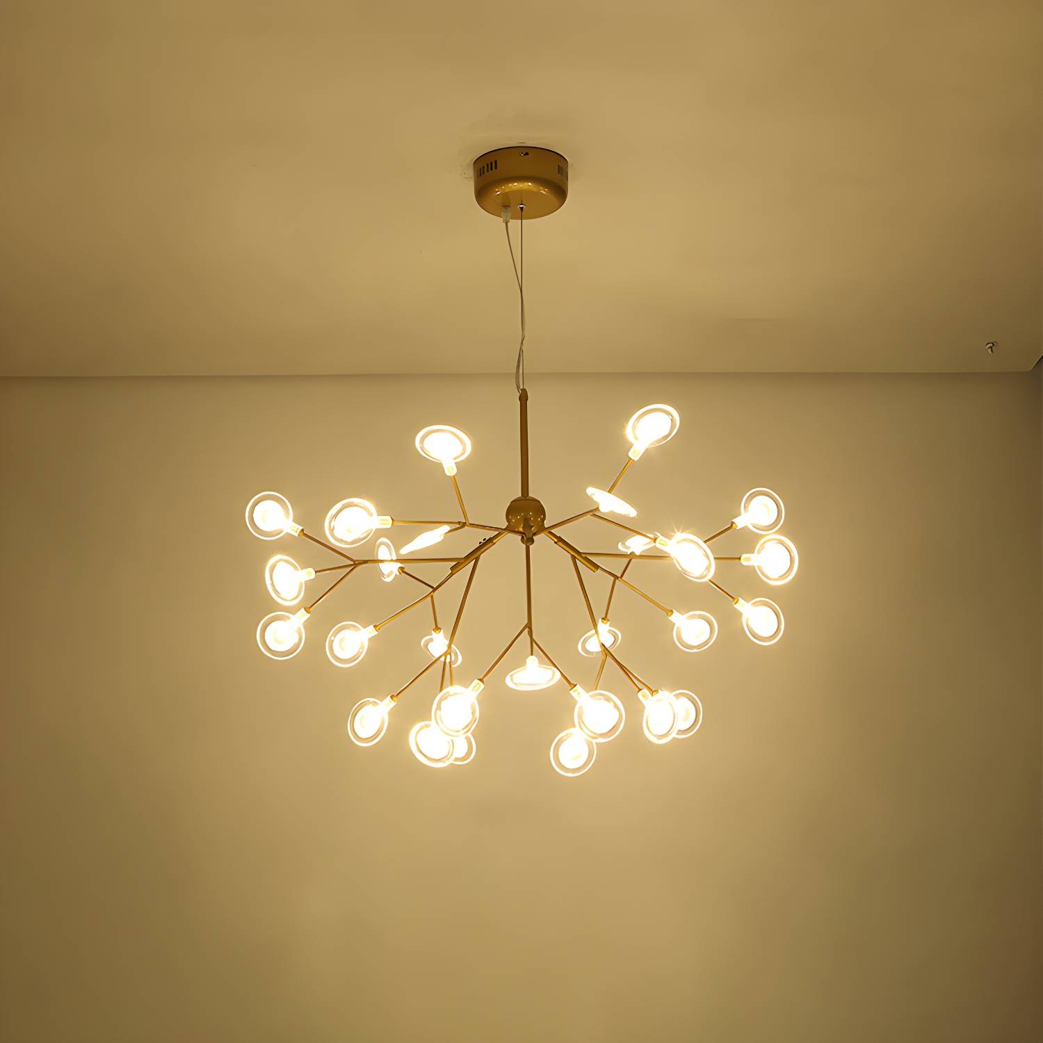 Imported image 55e75dd53d19 2026364.jpg