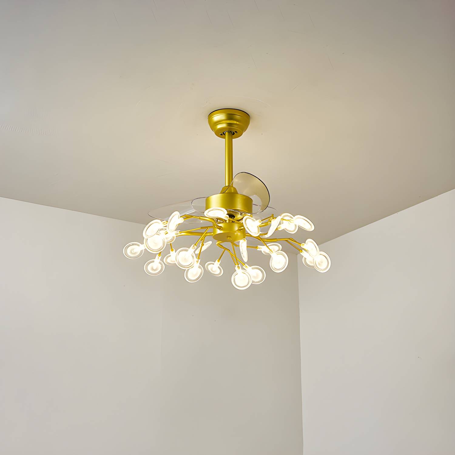Imported image 6d58e7a43af5 2026520.jpg