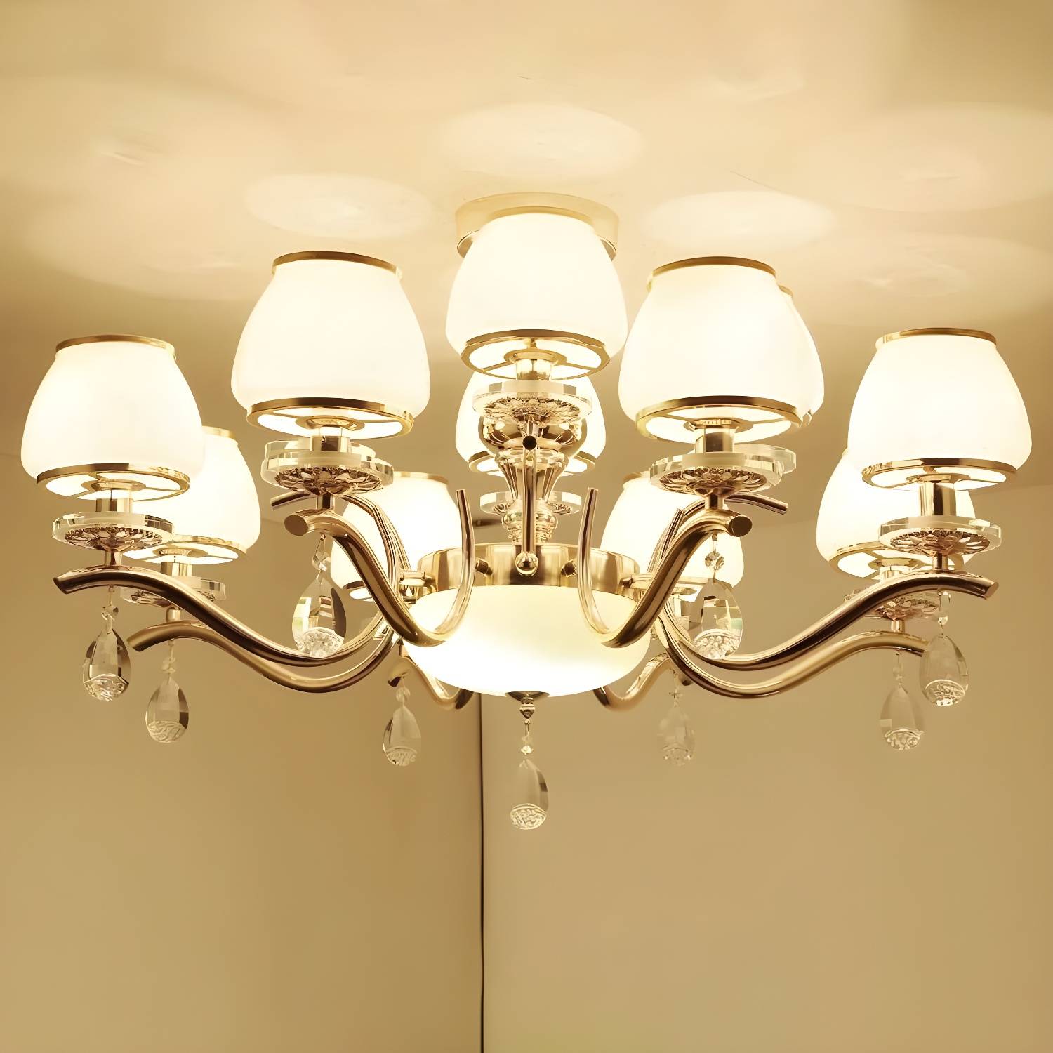 Imported image 5477c9c739cb 2030007.jpg