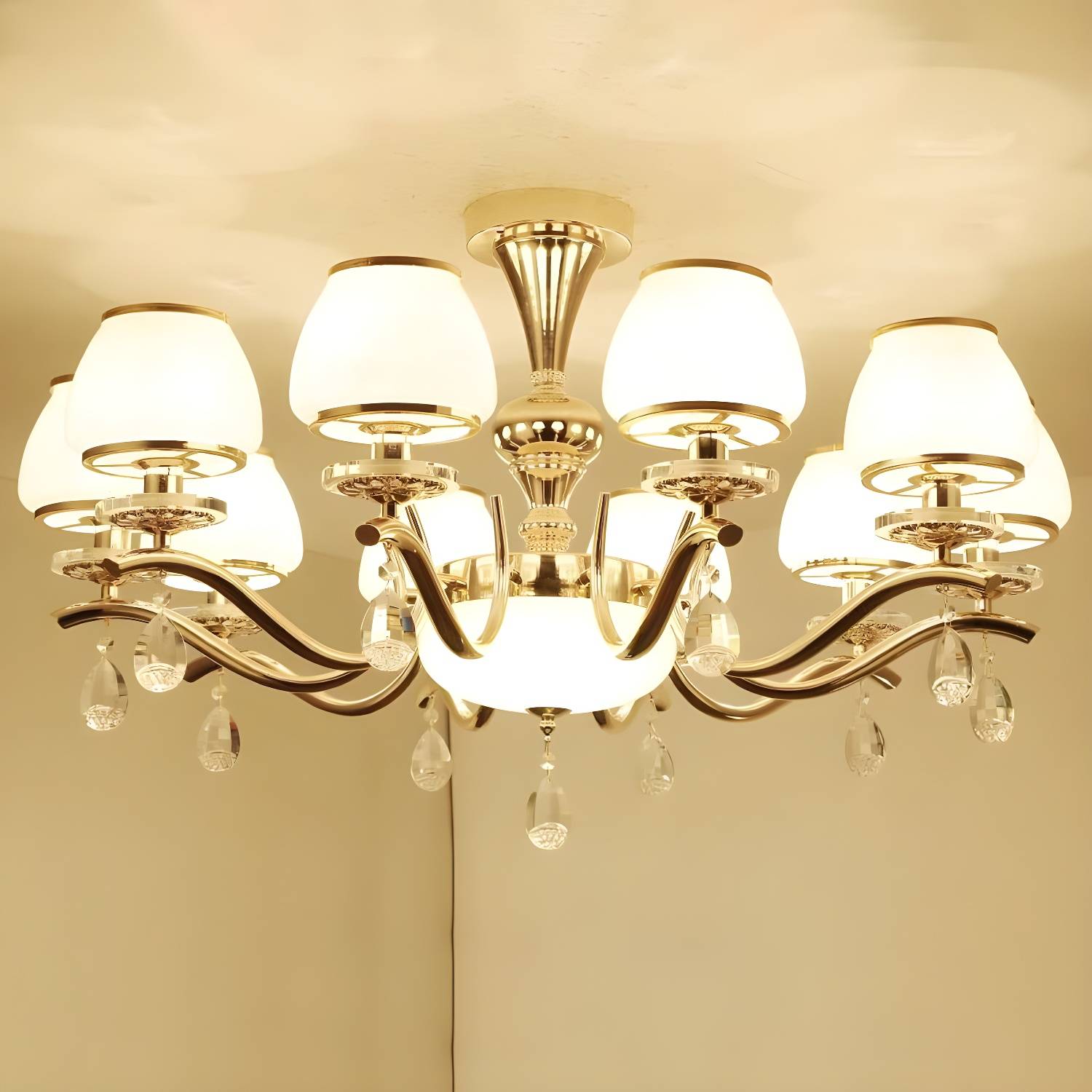 Imported image 9a0d31350e43 2030009.jpg