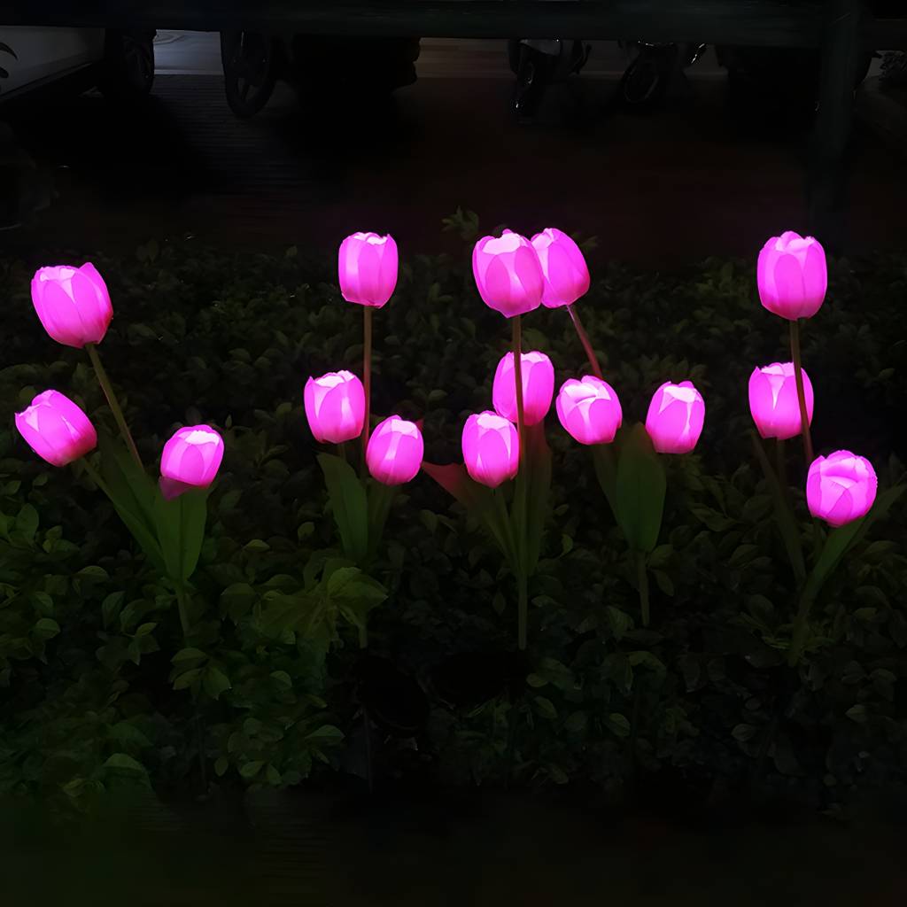 Imported image 432efaac5083 2044972.jpg