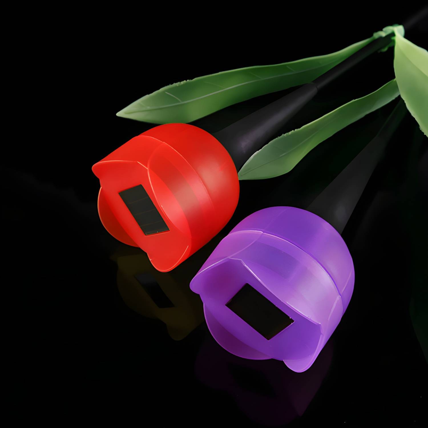 Imported image ae696450e4e6 2045023.jpg