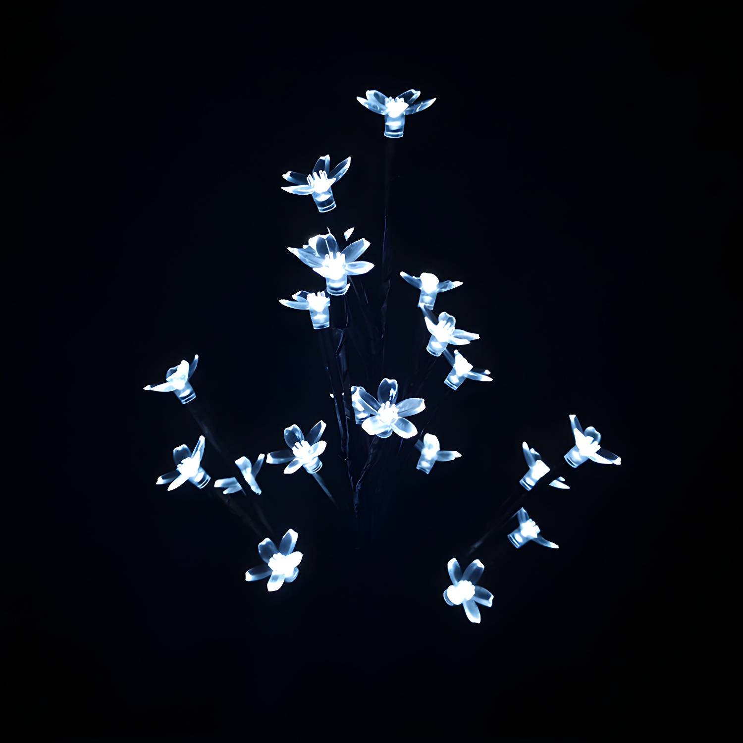 Imported image 4a577799761d 2045048.jpg