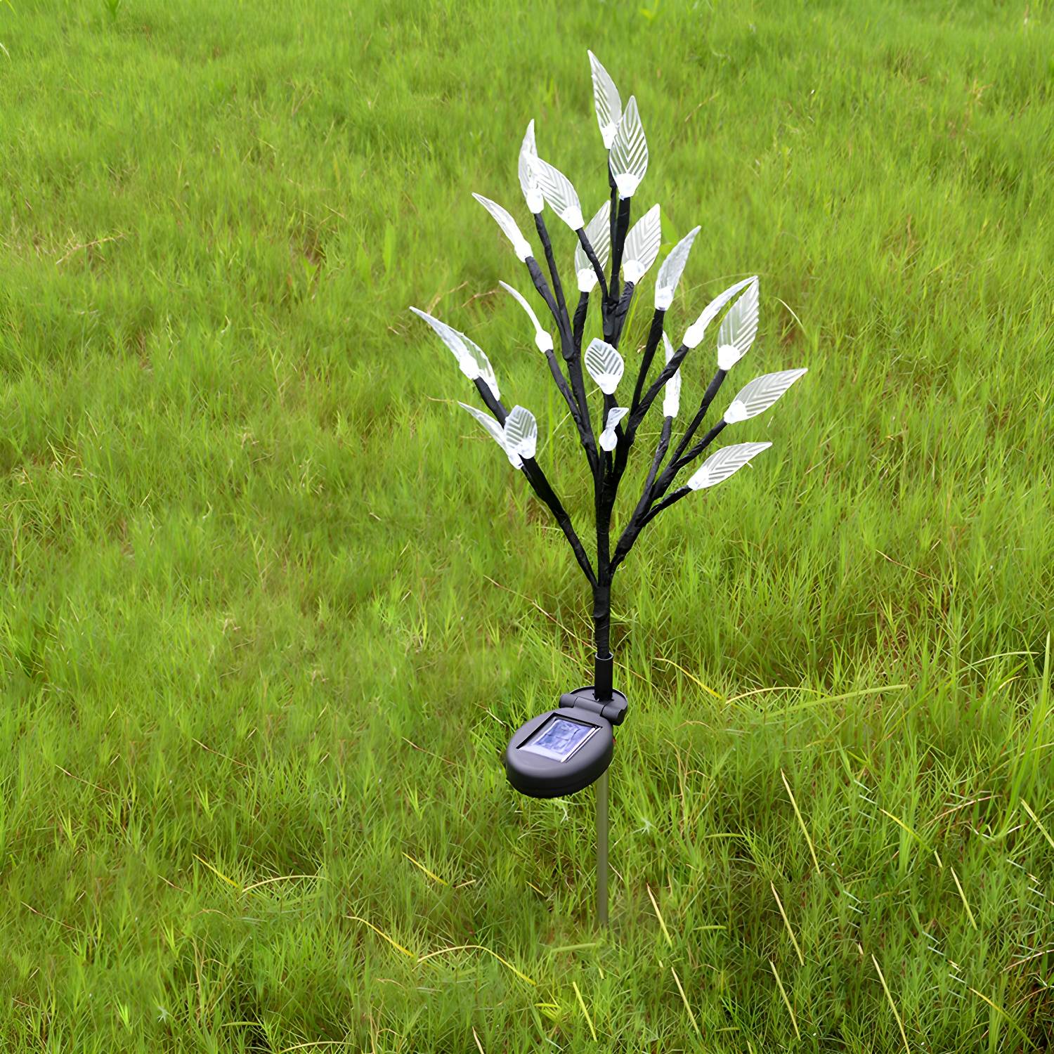Imported image a7db7dcc6903 2045052.jpg