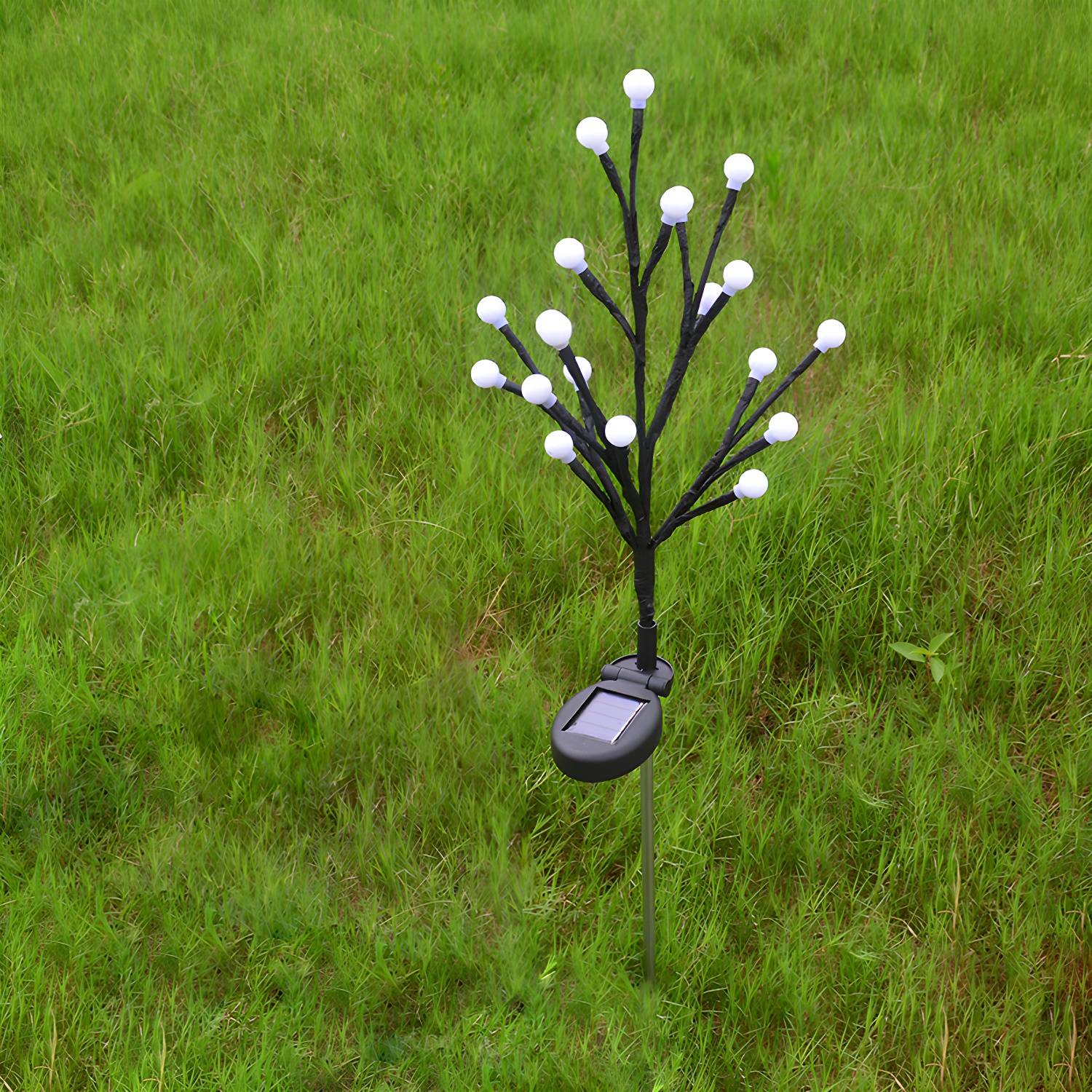 Imported image cc518b01d812 2045053.jpg