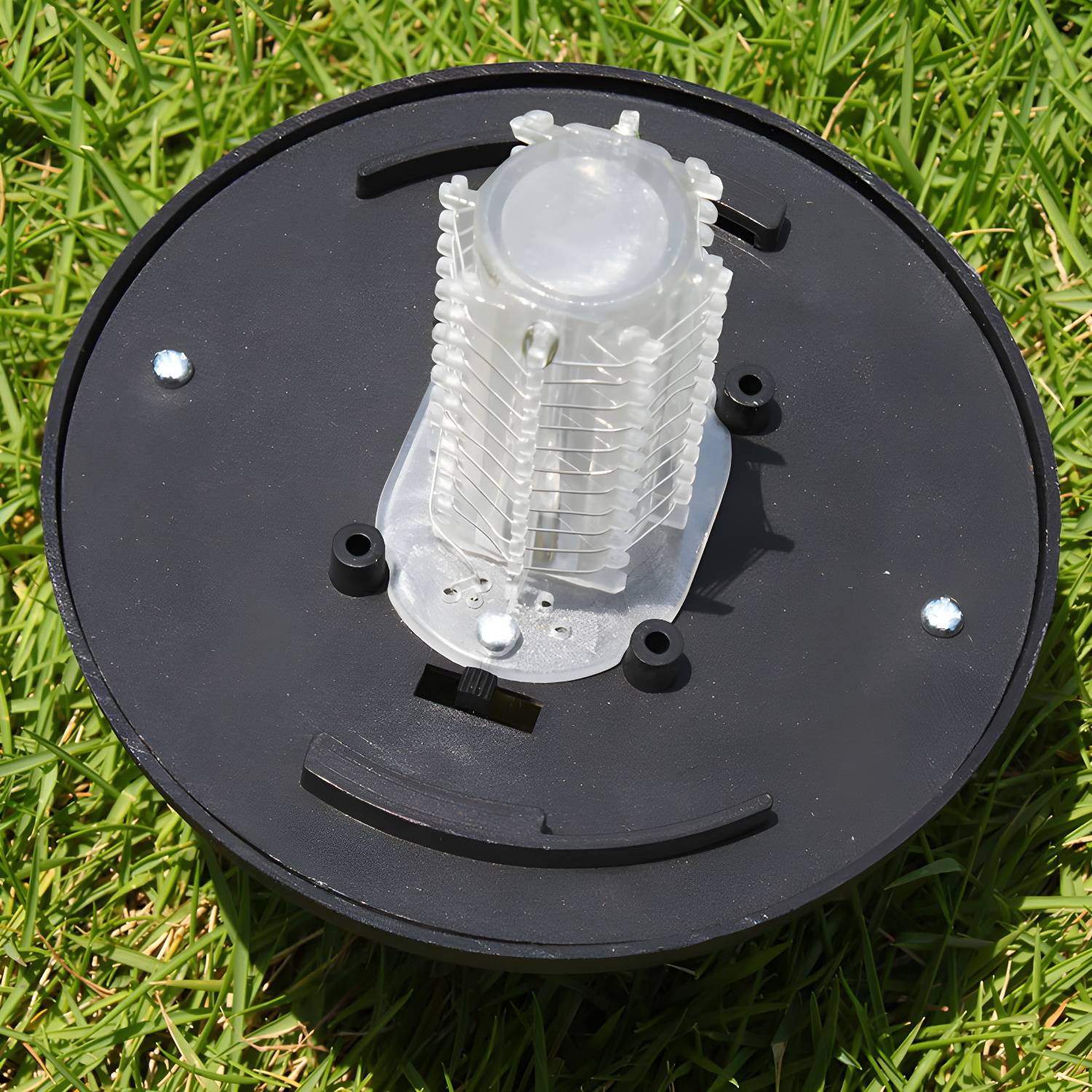 Imported image 31ac6296463e 2045102.jpg