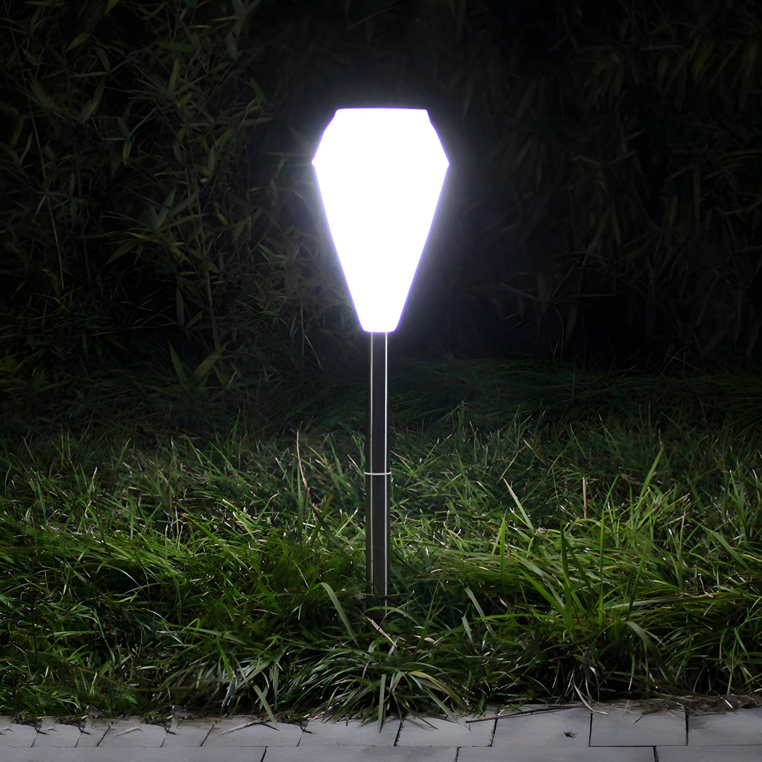 Imported image f38aaa718e59 2045194.jpg