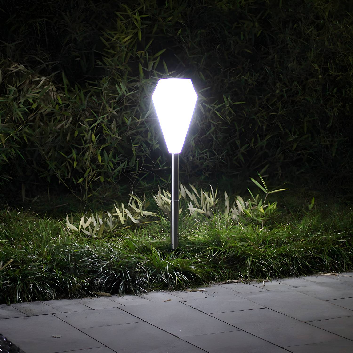 Imported image 8bfaae15904a 2045198.jpg