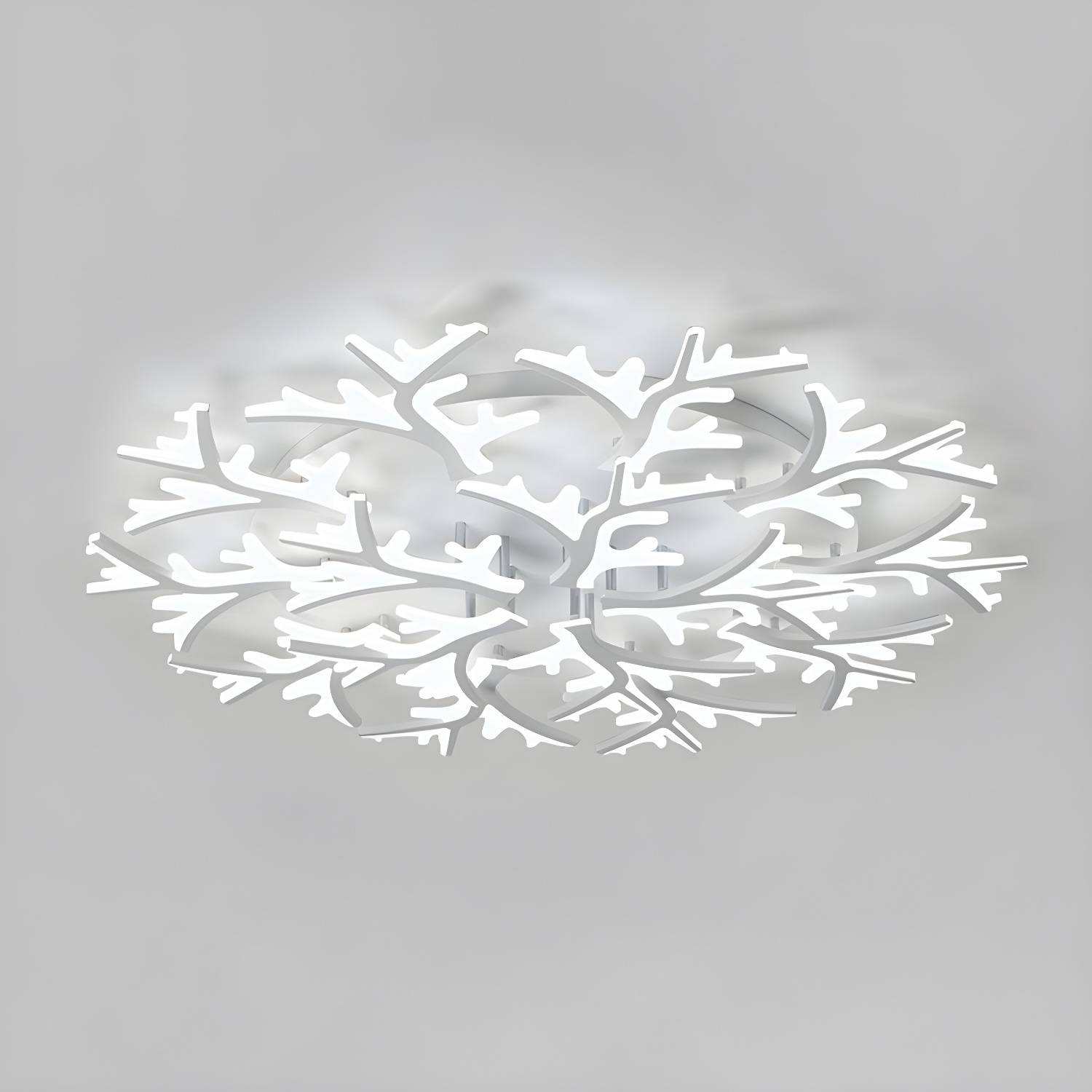 Imported image 4bc2d5a78afc 2046673.jpg