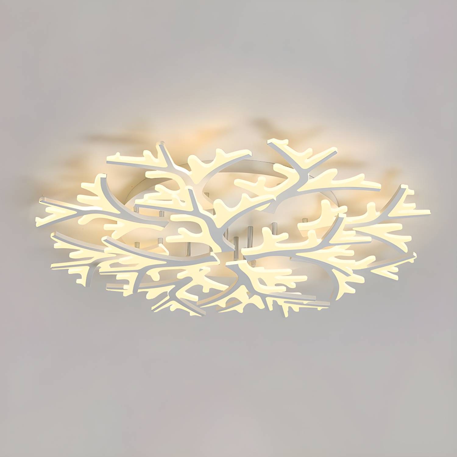 Imported image 064ab2d18c4c 2046675.jpg