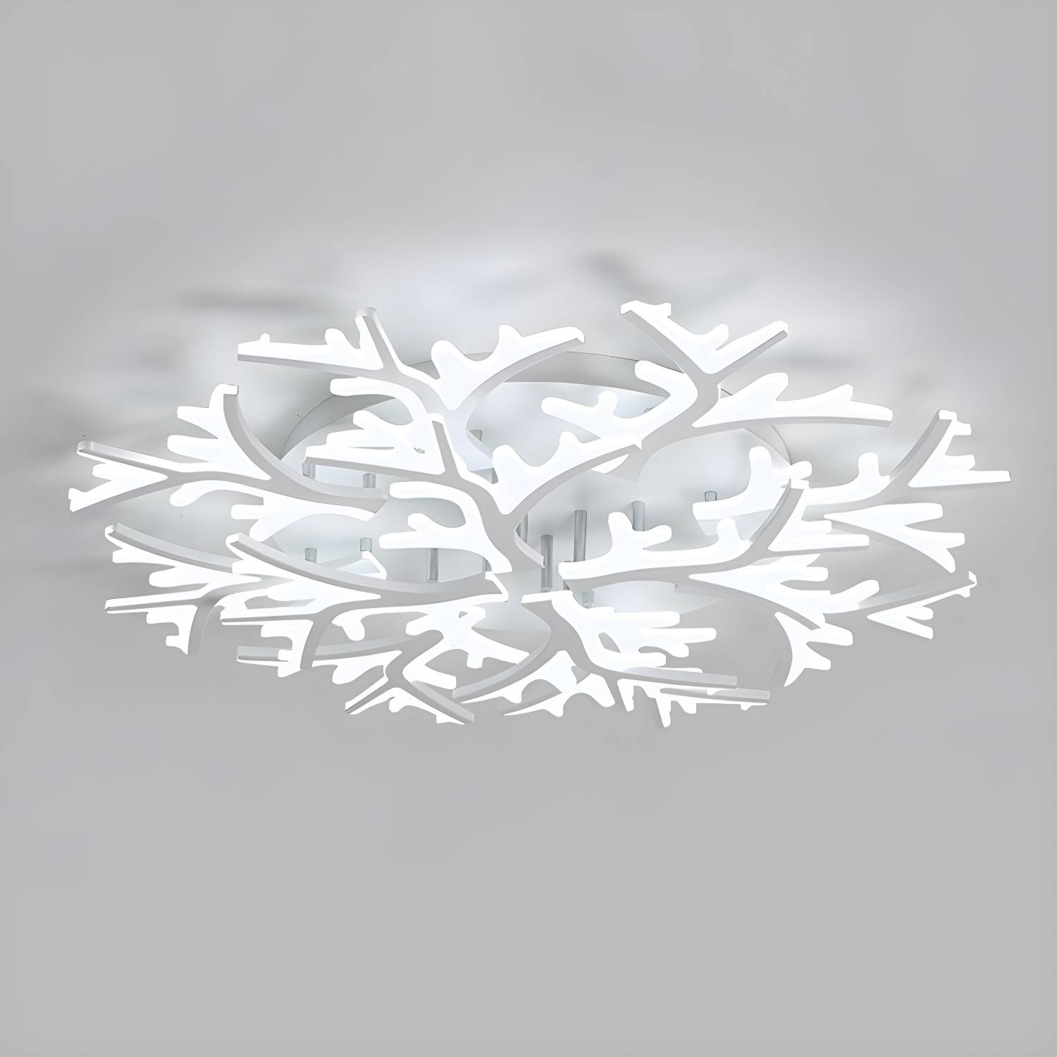 Imported image e2436bbb8949 2046677.jpg