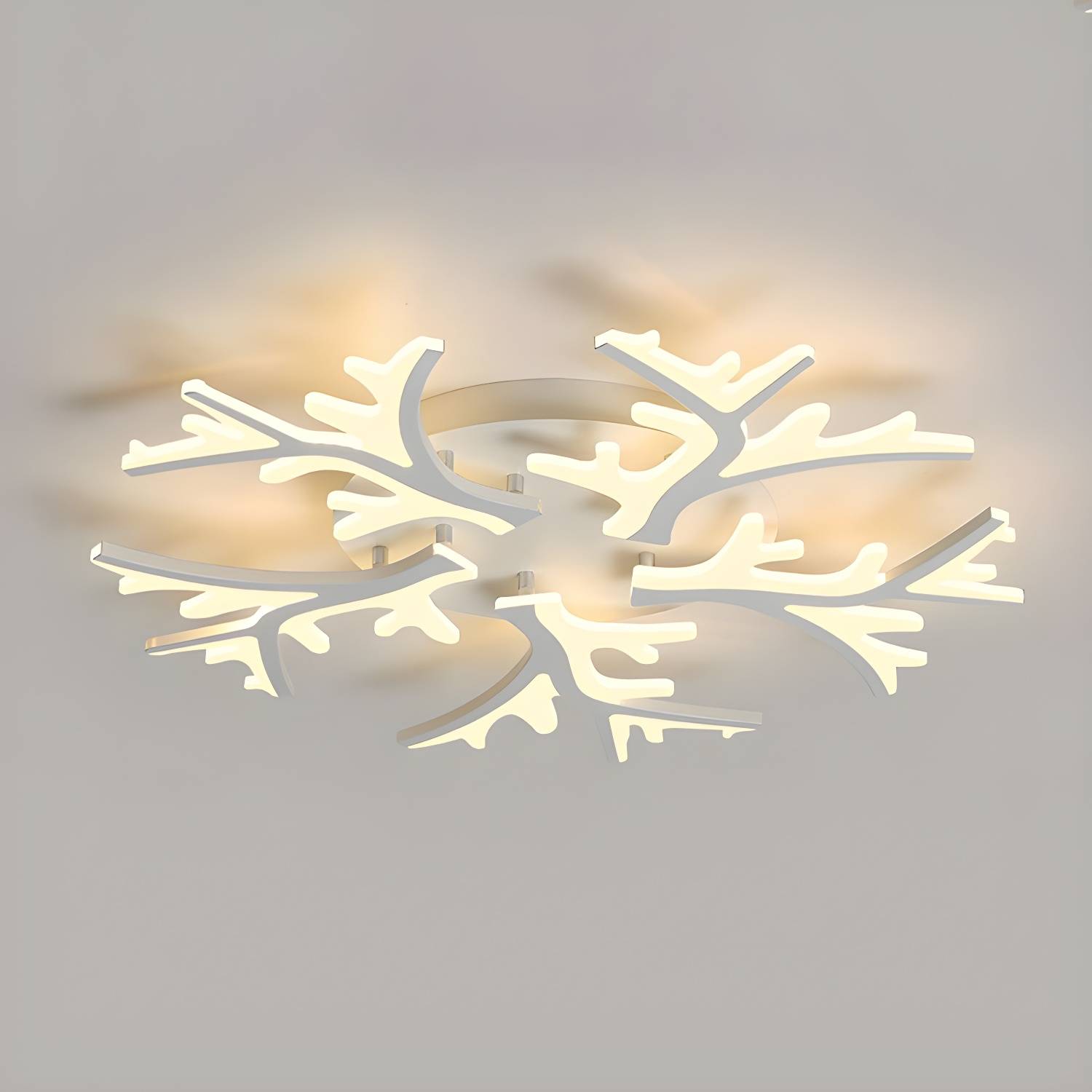 Imported image 89b38f4ae7e3 2046681.jpg