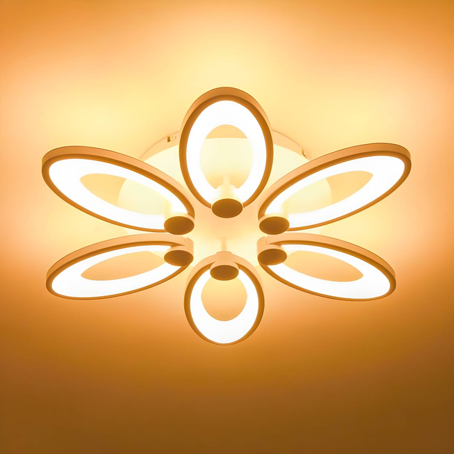 Imported image 46a9fd108060 2046700.jpg