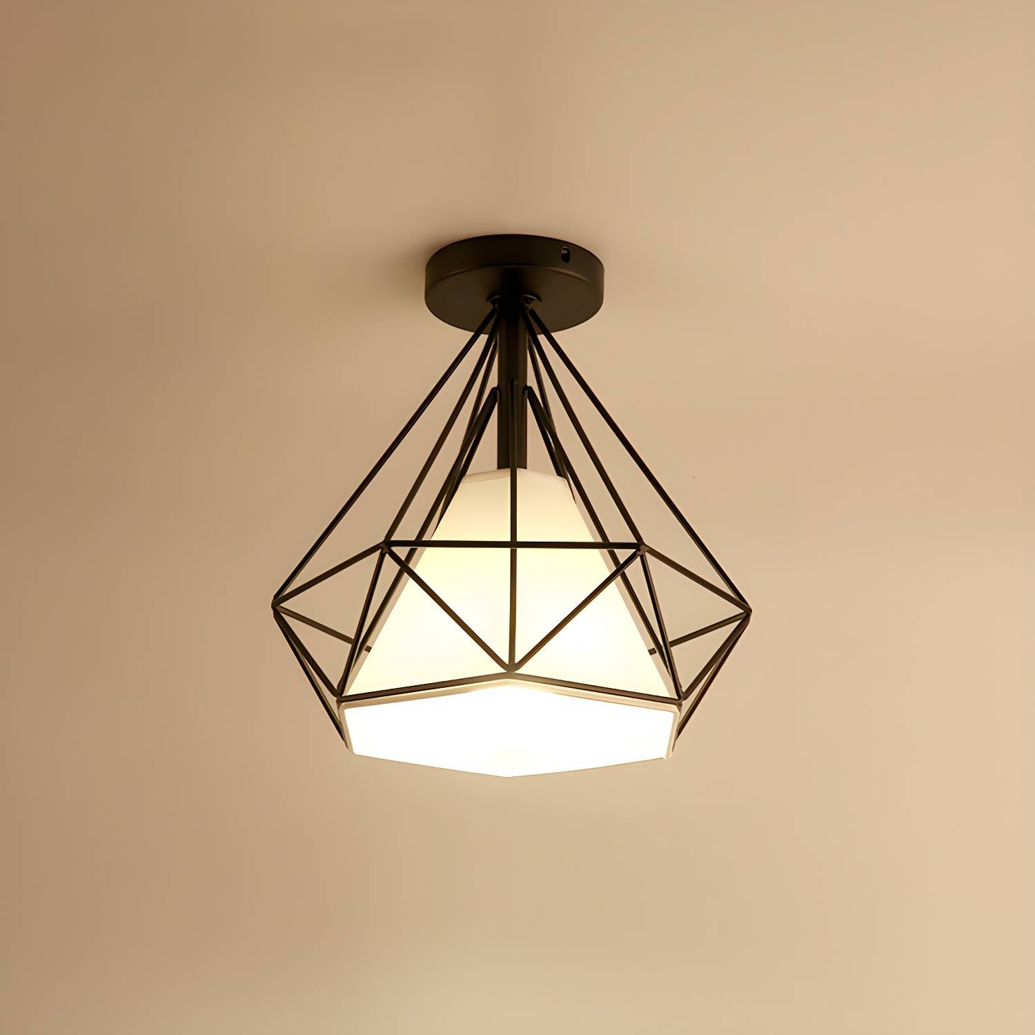Imported image 6a1ce0b4687a 2057559.jpg