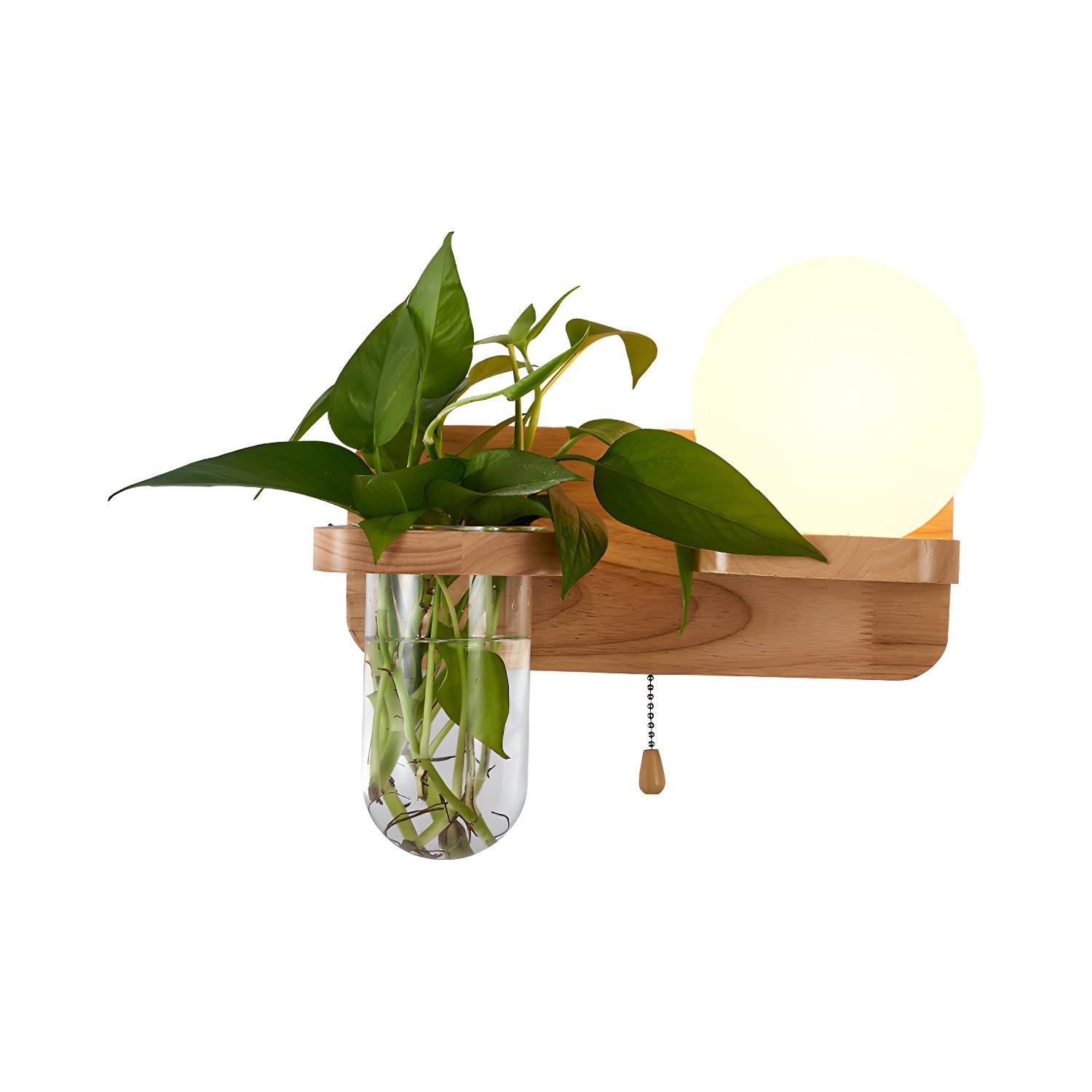 Imported image a8e66918089b 2063549.jpg
