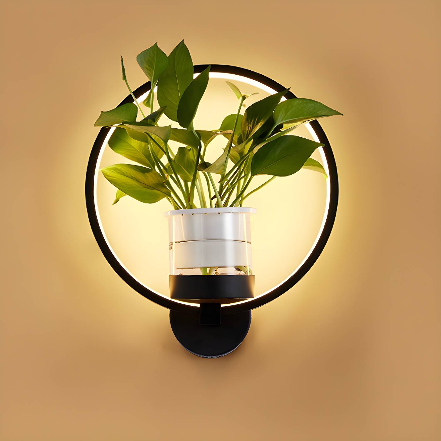 Imported image 70e6d126a9ad 2063563.jpg