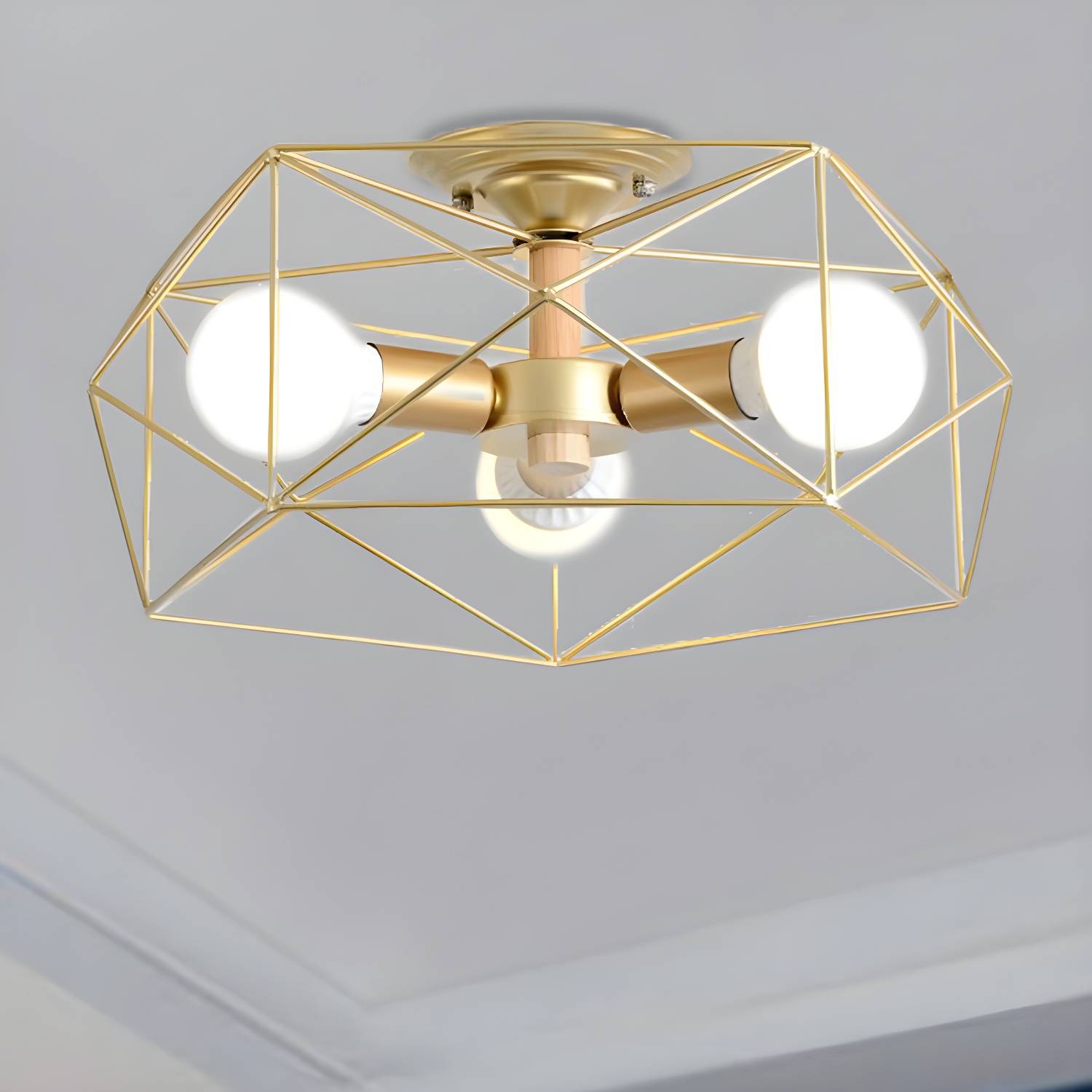 Imported image 5ee6e0b12962 207841.jpg