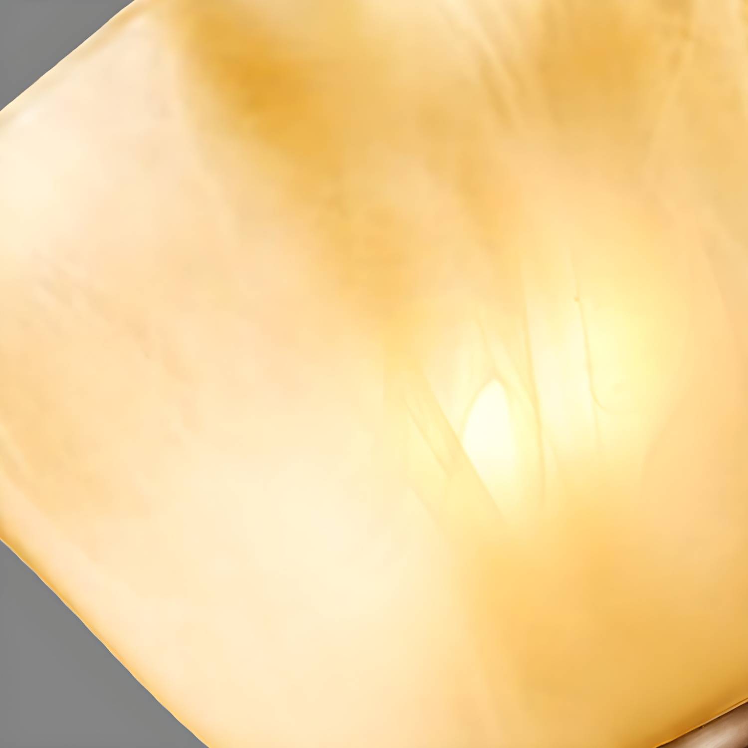 Imported image 3e9886b6be03 2091541.jpg