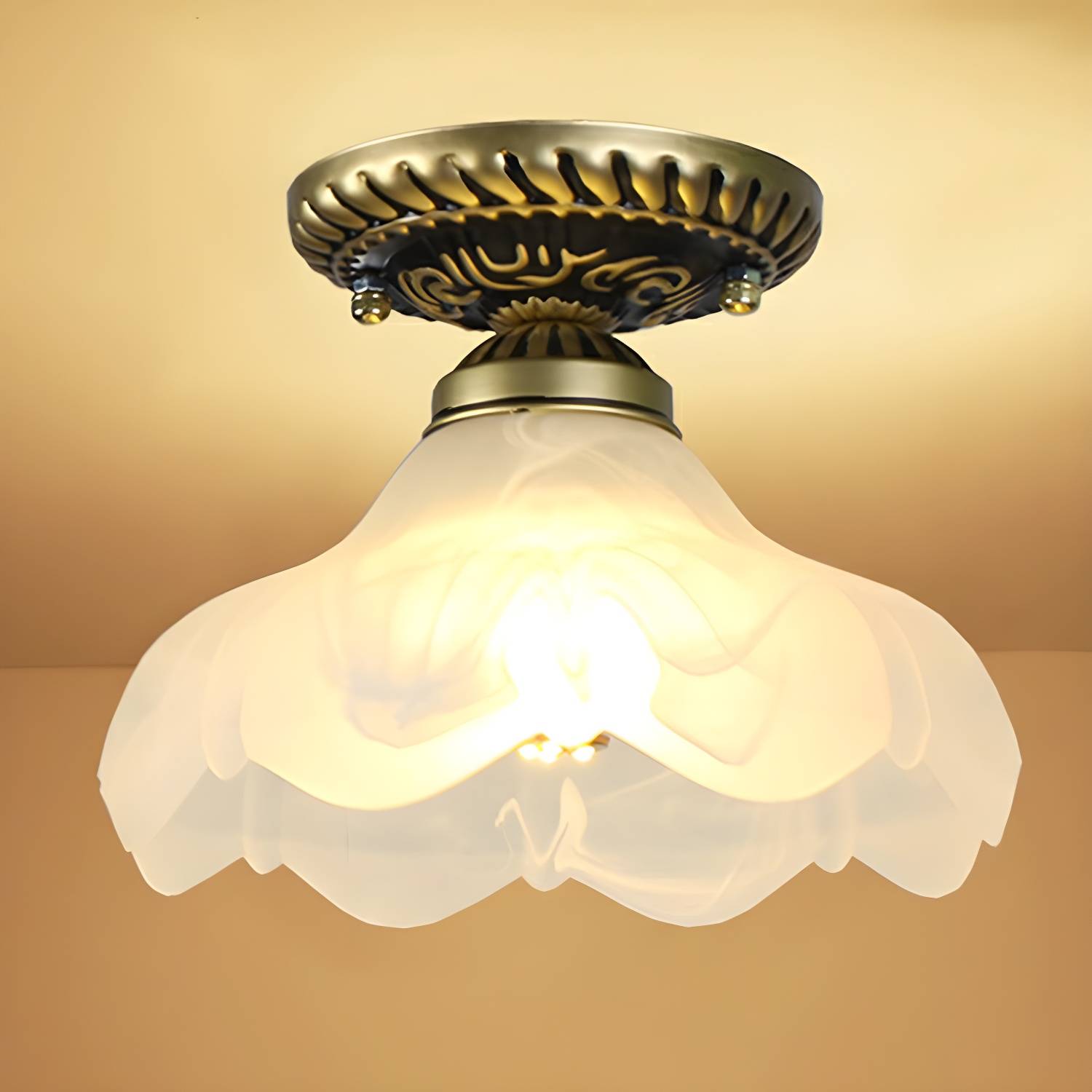 Imported image 3801b371b5f5 2092153.jpg